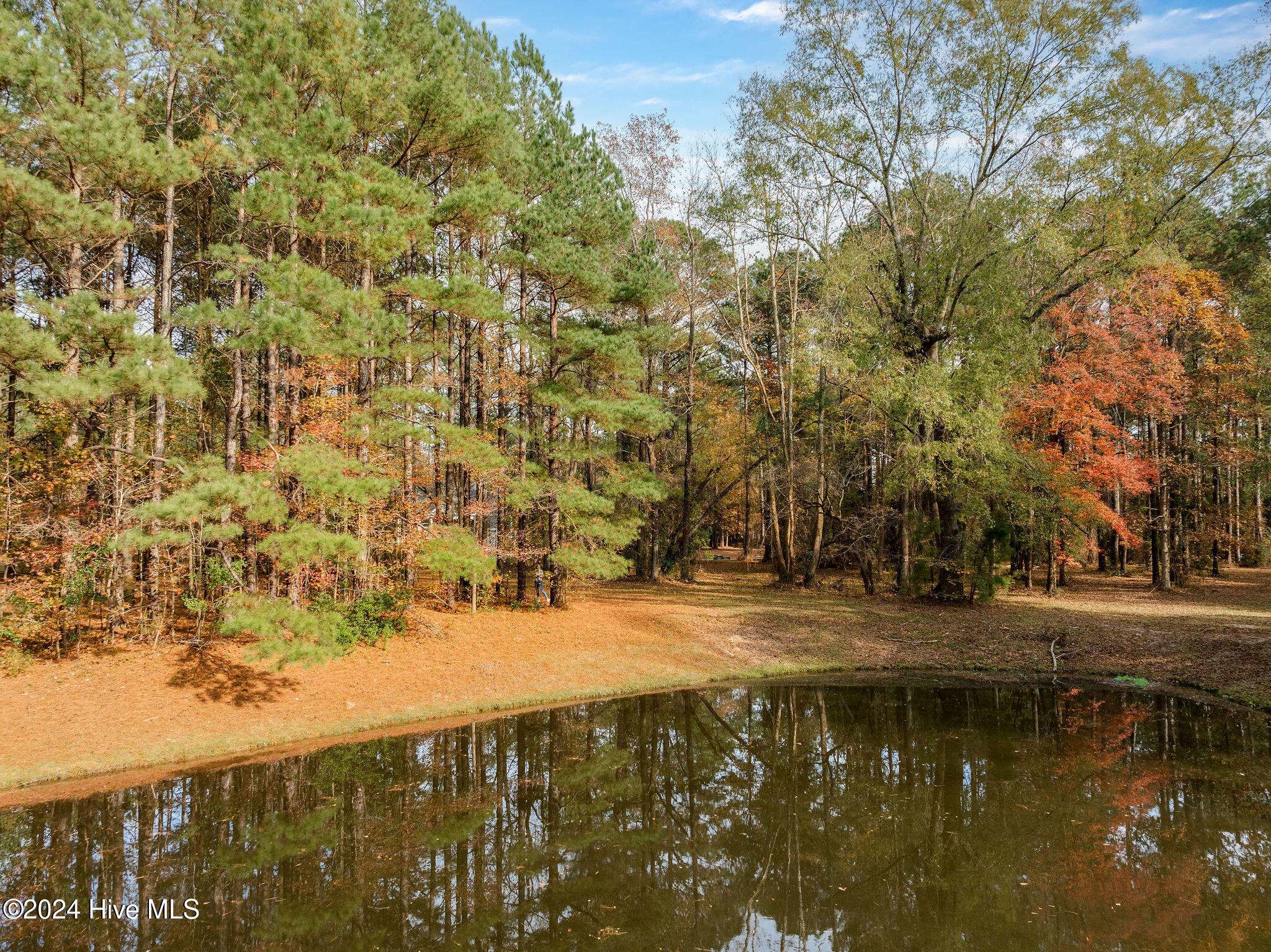 111 Loblolly Court Property Photo 6