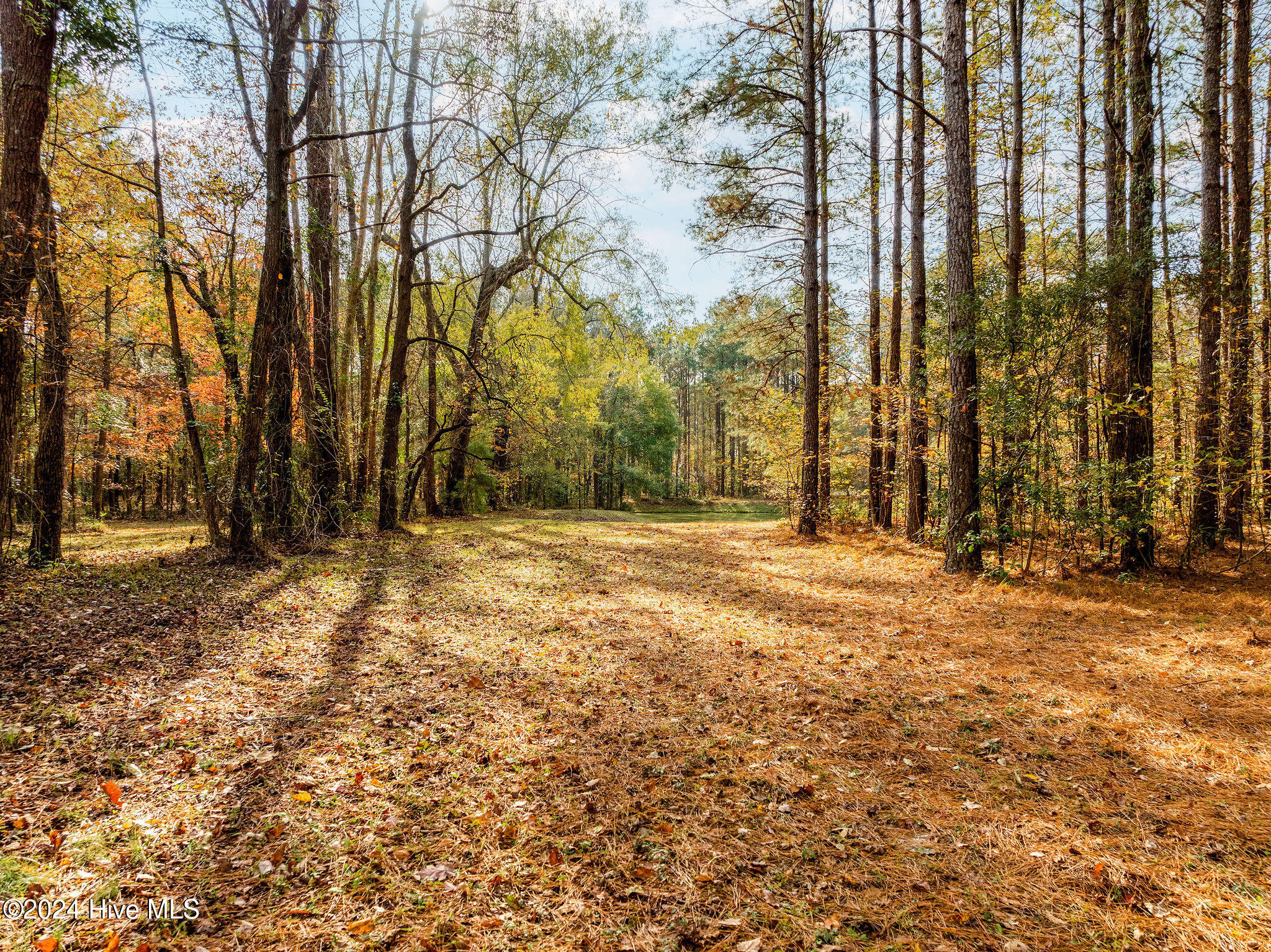 111 Loblolly Court Property Photo 8