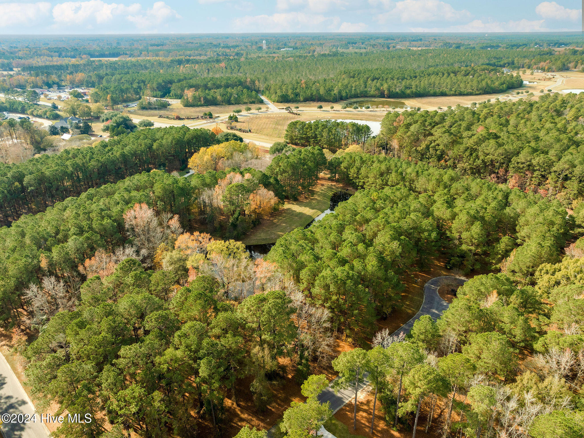 111 Loblolly Court Property Photo 9