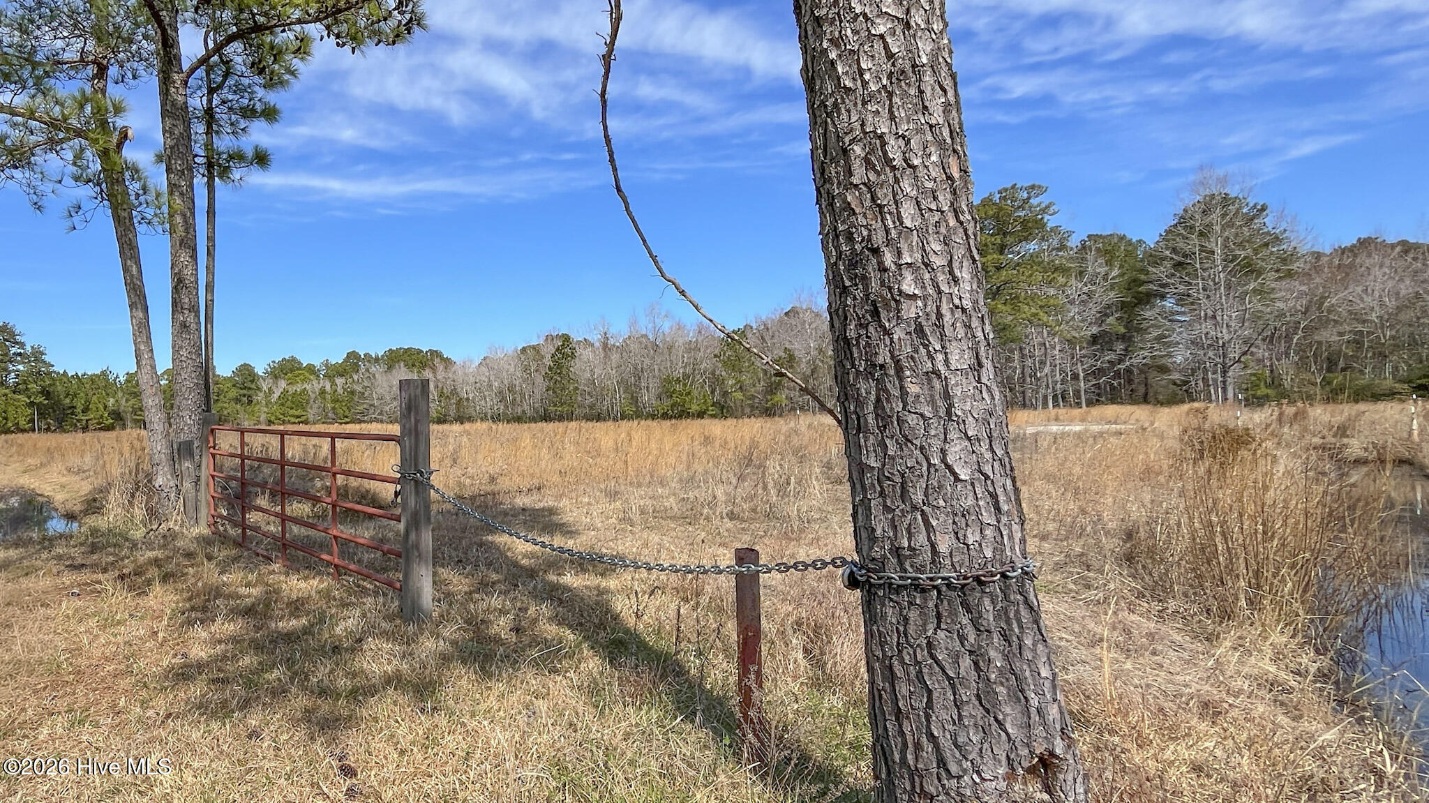200 Walton Road Property Photo 16