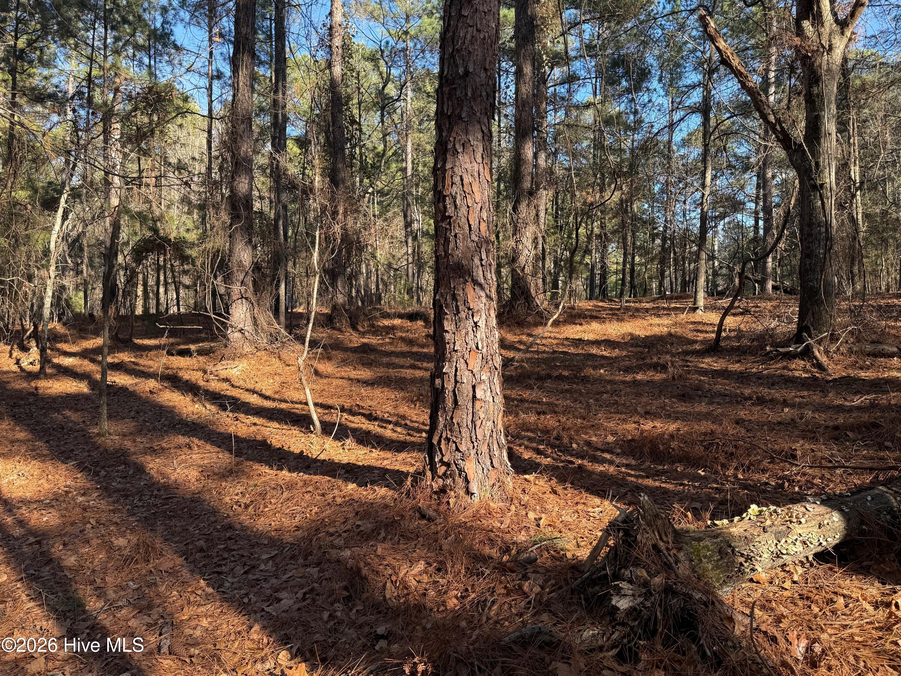 125 Millstone Court Property Photo 4