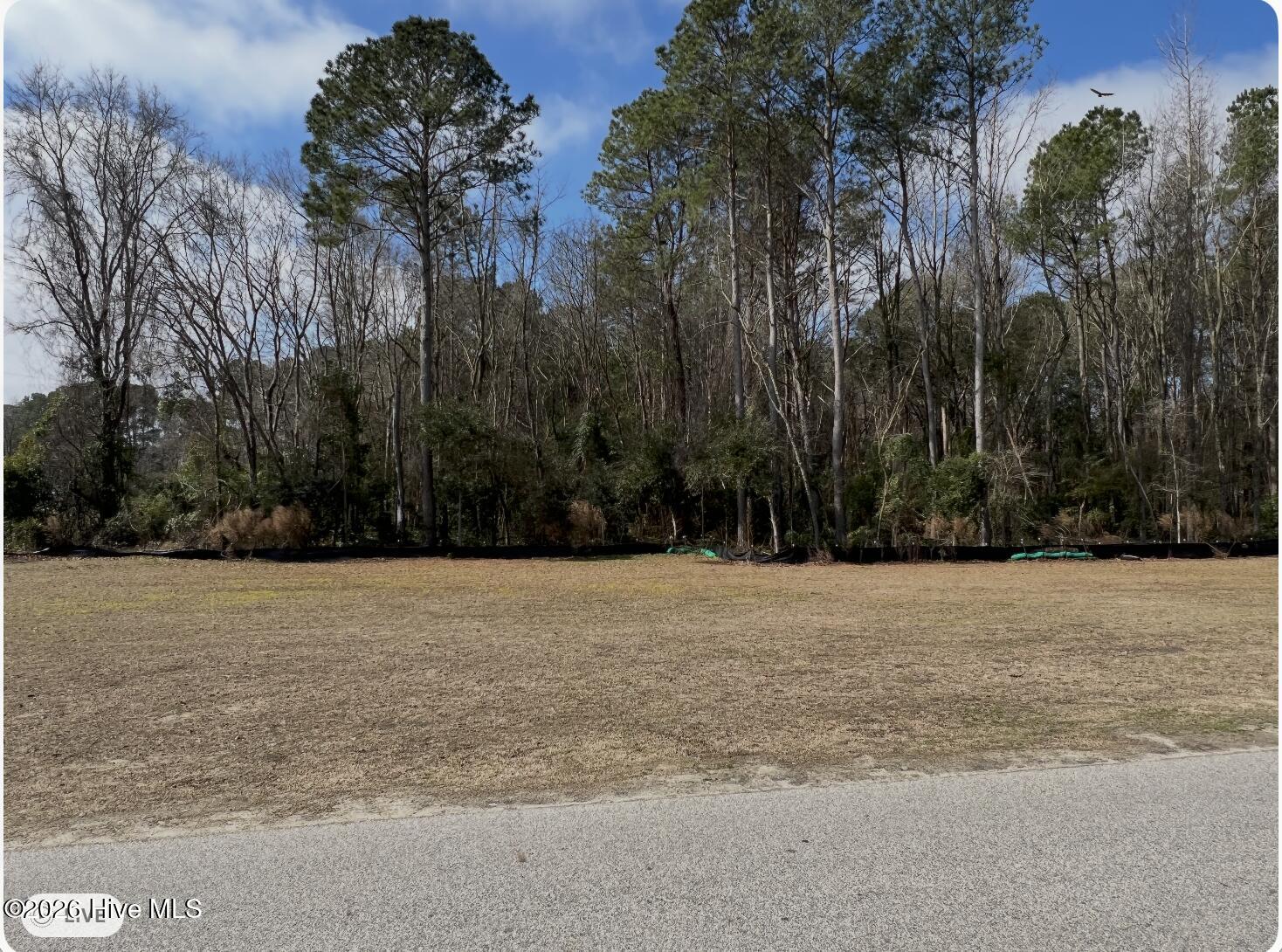 0 Pierce Street Property Photo 2