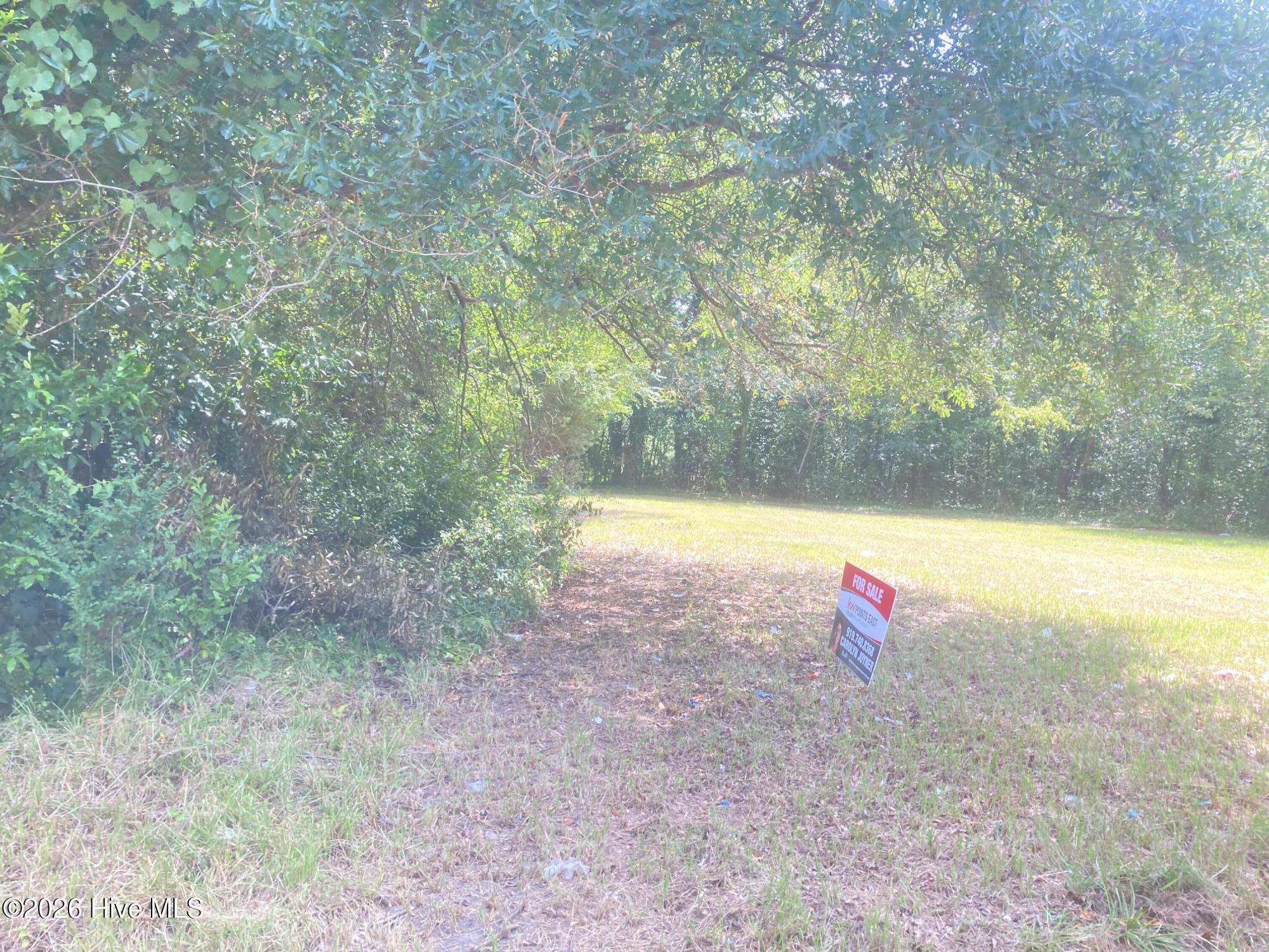 4617821019 84 Williams Street Property Photo 4