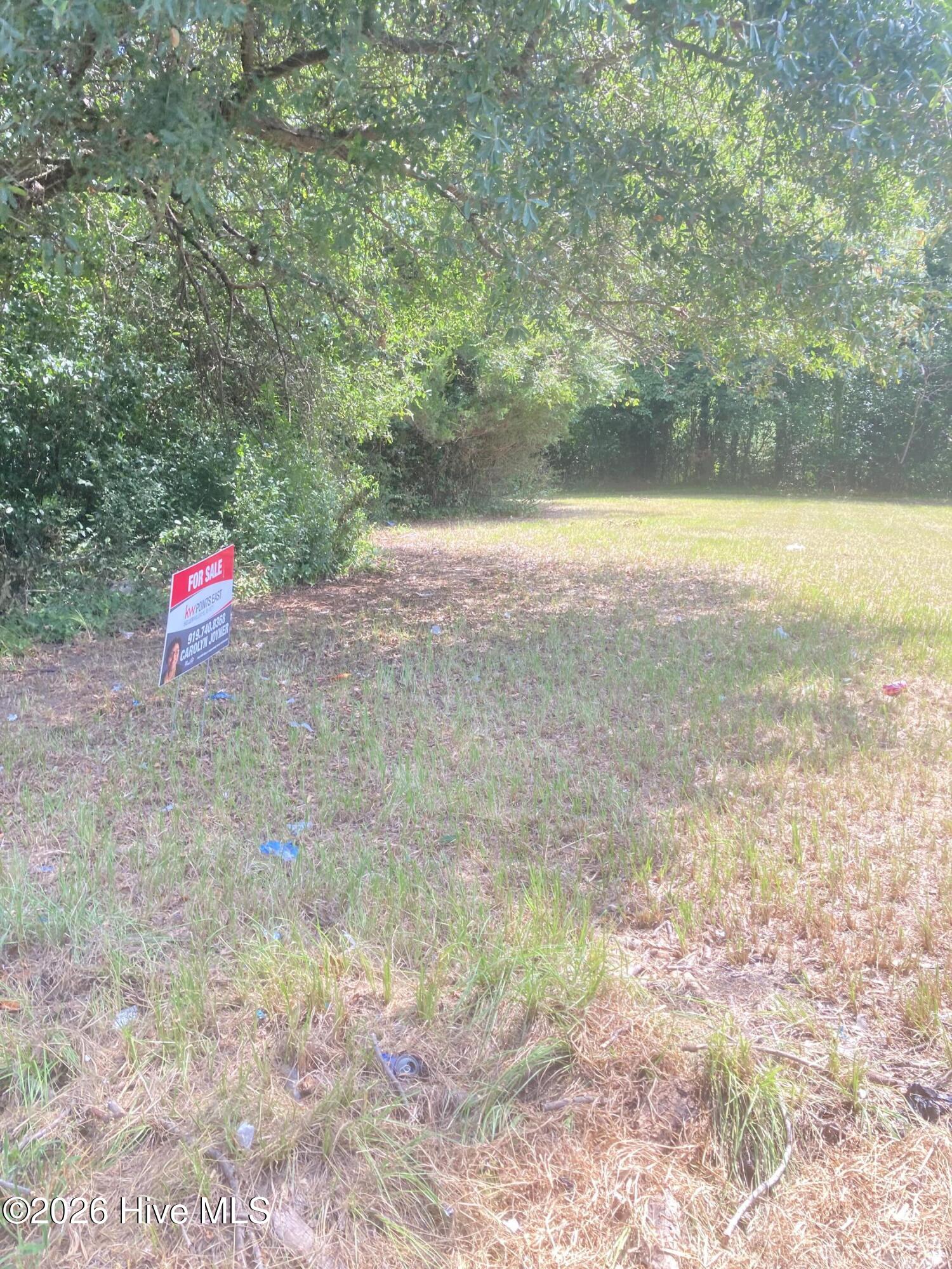 4617821019 84 Williams Street Property Photo 5