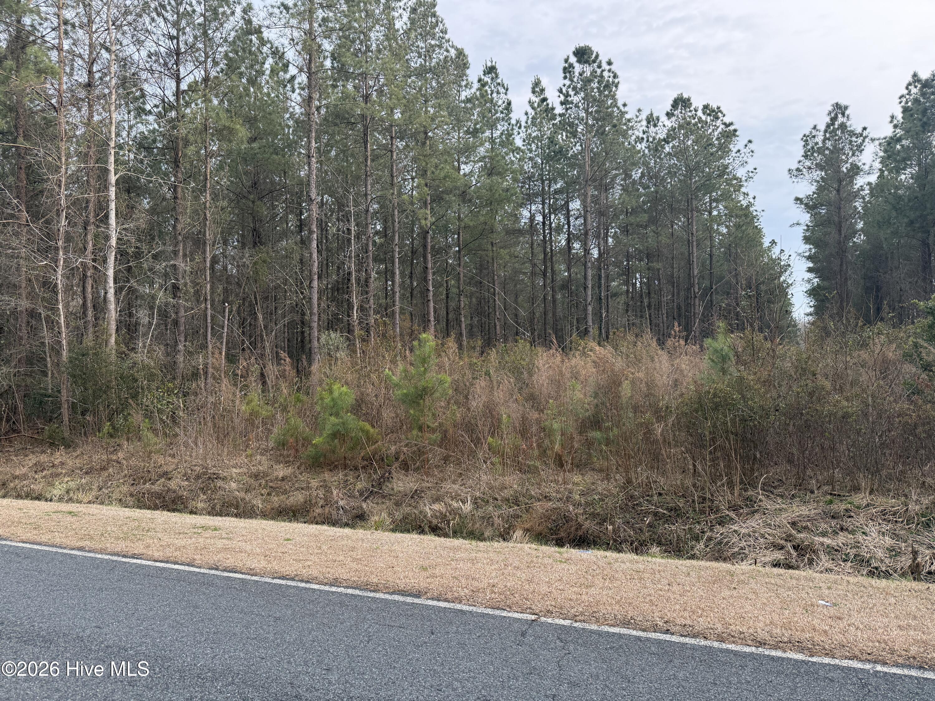 0 Wall's Mill Road Property Photo 6