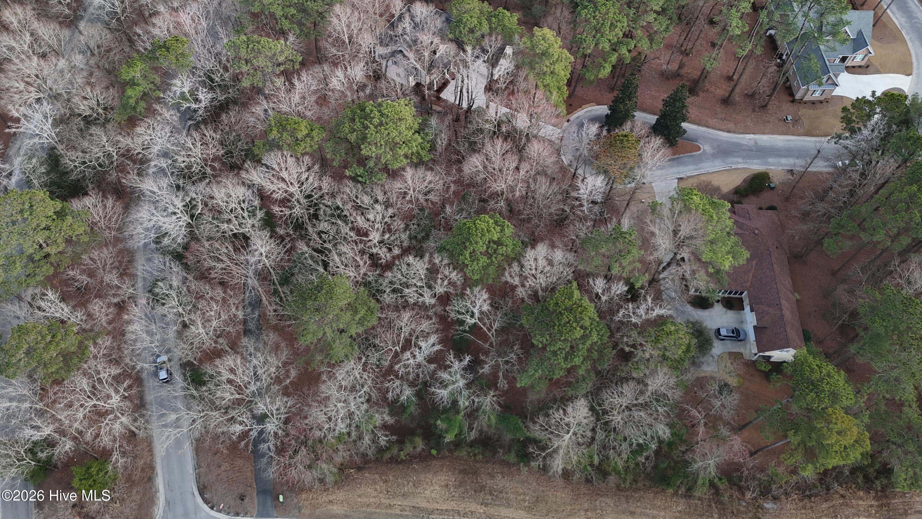175 Southern Magnolia Lane Property Photo 3