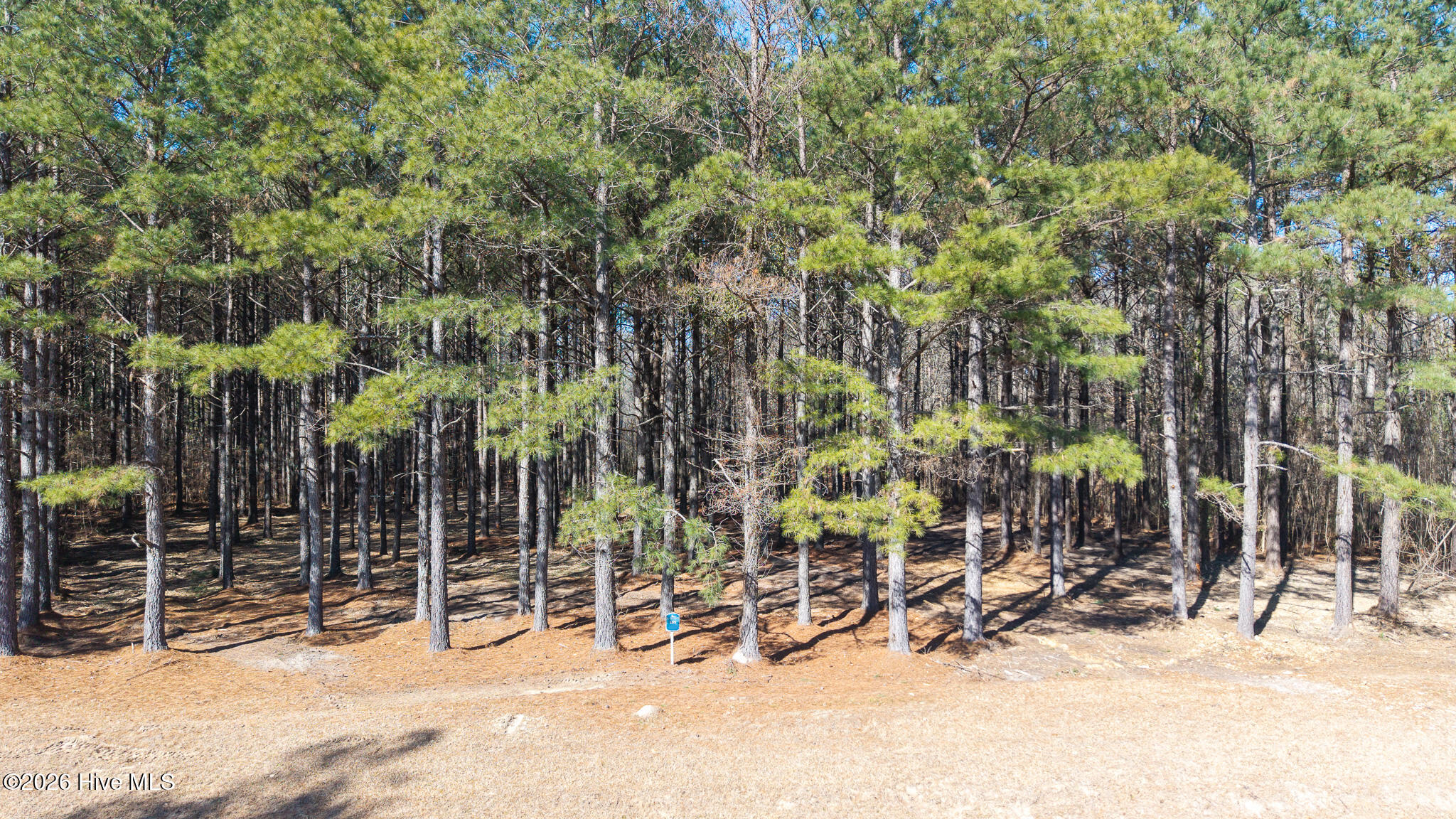 285 185 Riversound Drive Property Photo 4