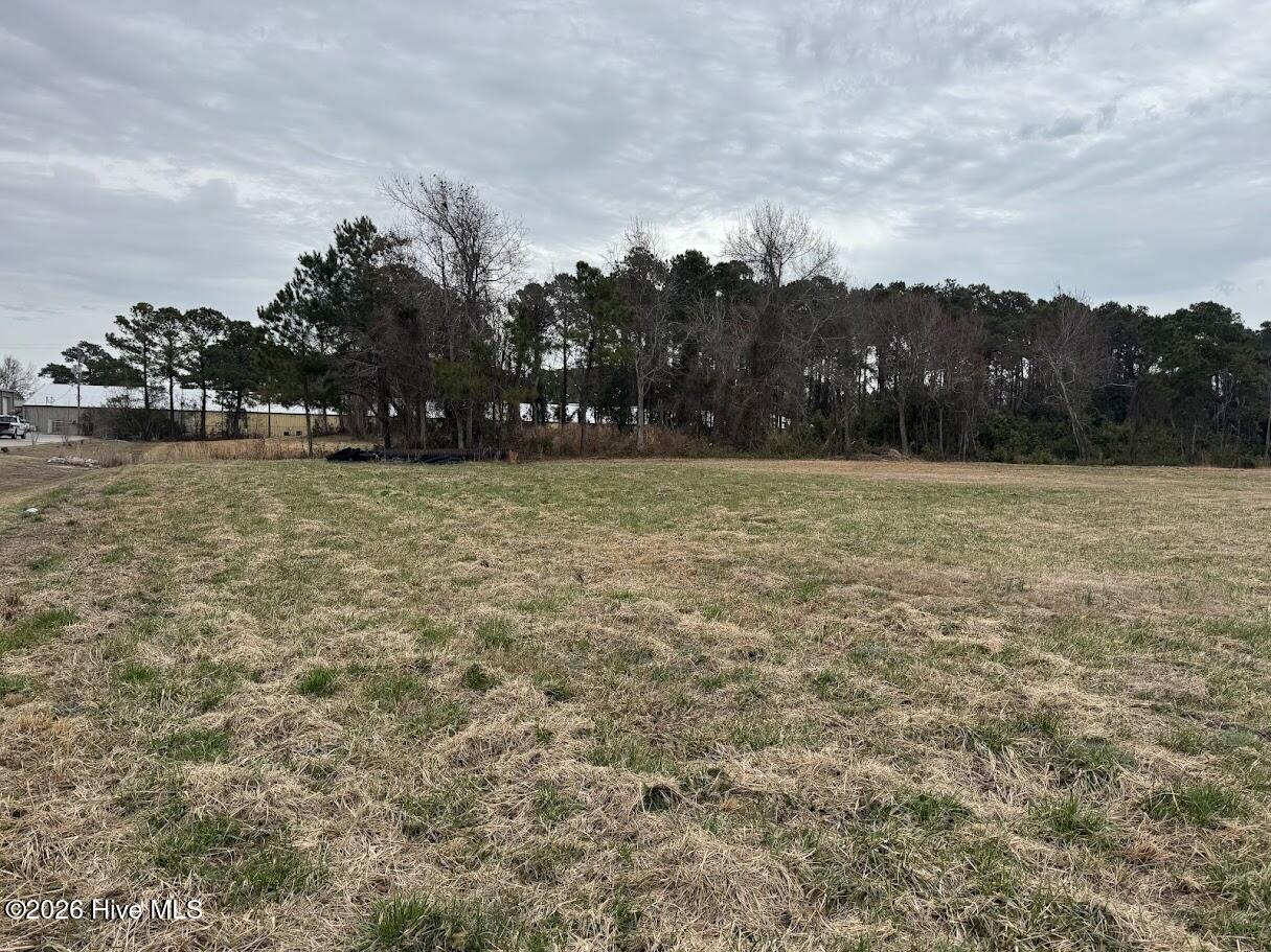 0 Horton Drive Property Photo 2