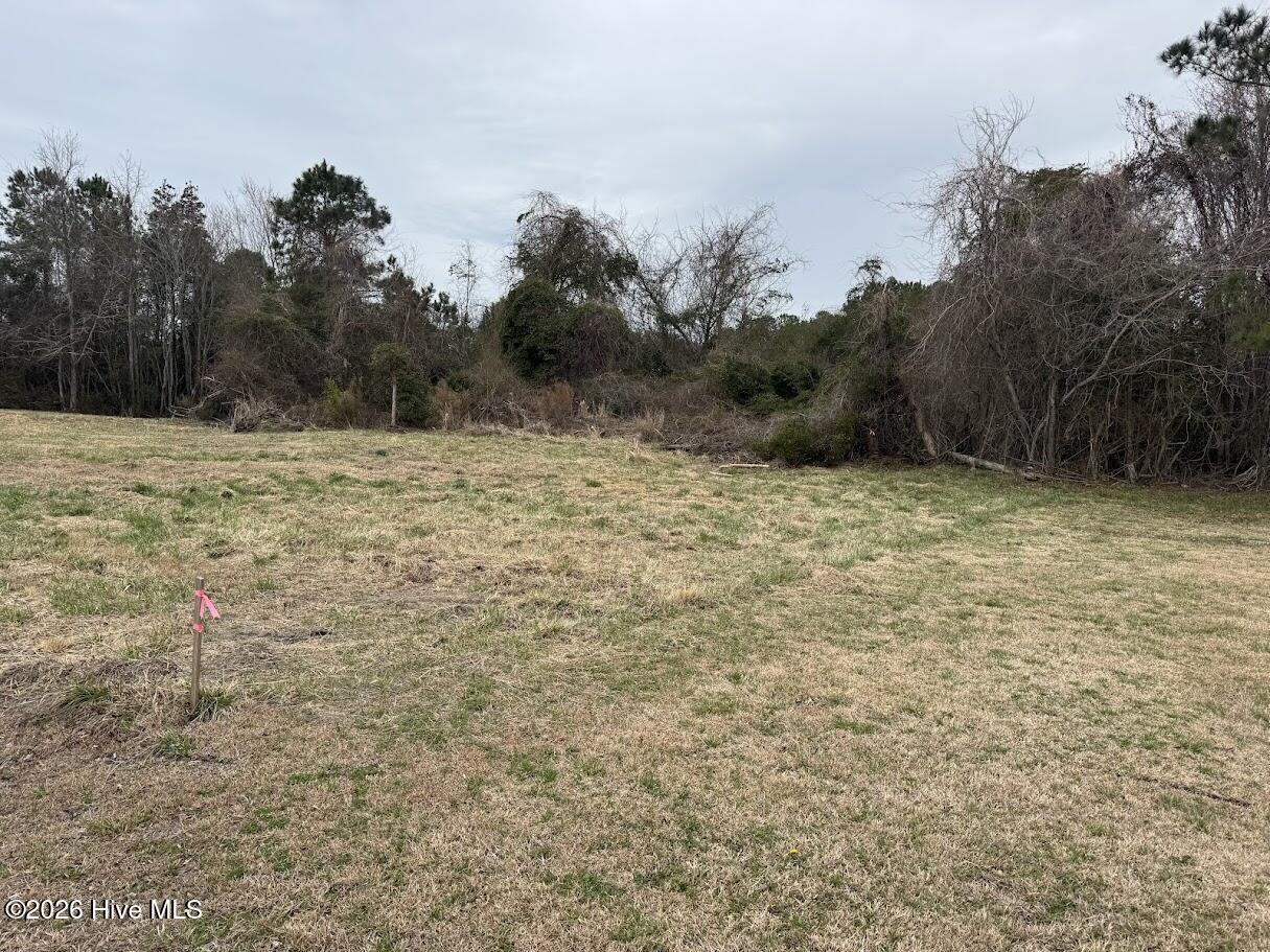 0 Horton Drive Property Photo 3