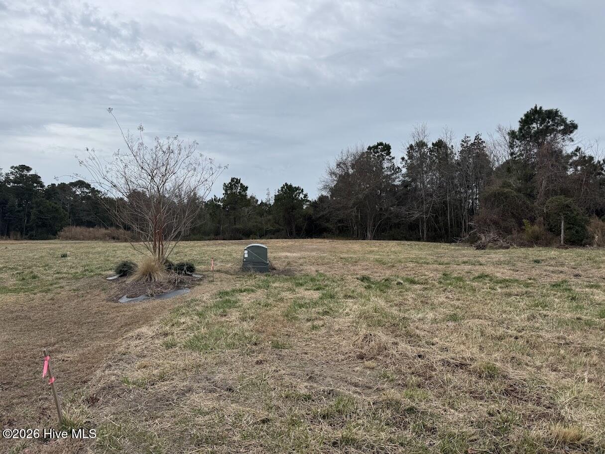 0 Horton Drive Property Photo 5