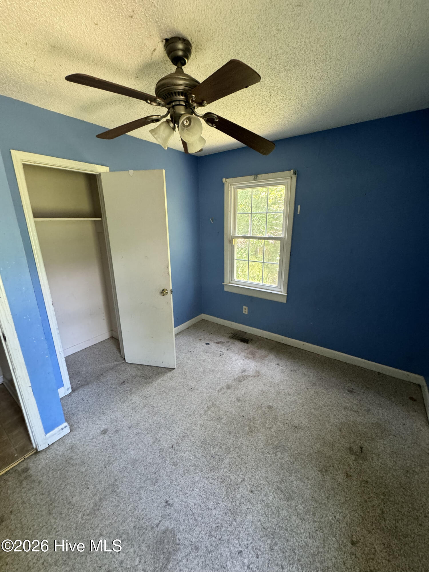 165 Shaw Road Property Photo 6