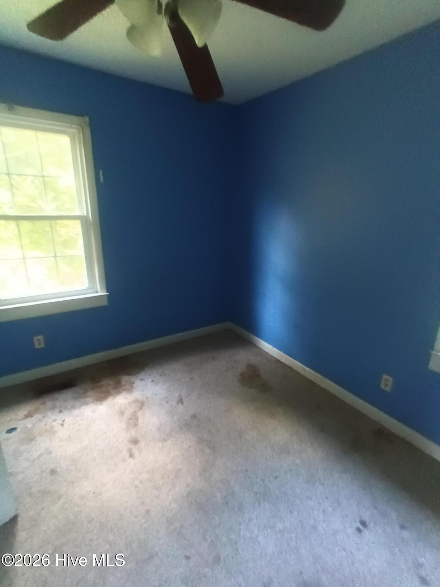 165 Shaw Road Property Photo 14