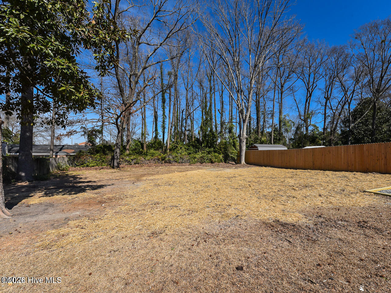 603 Beech Street Property Photo 24