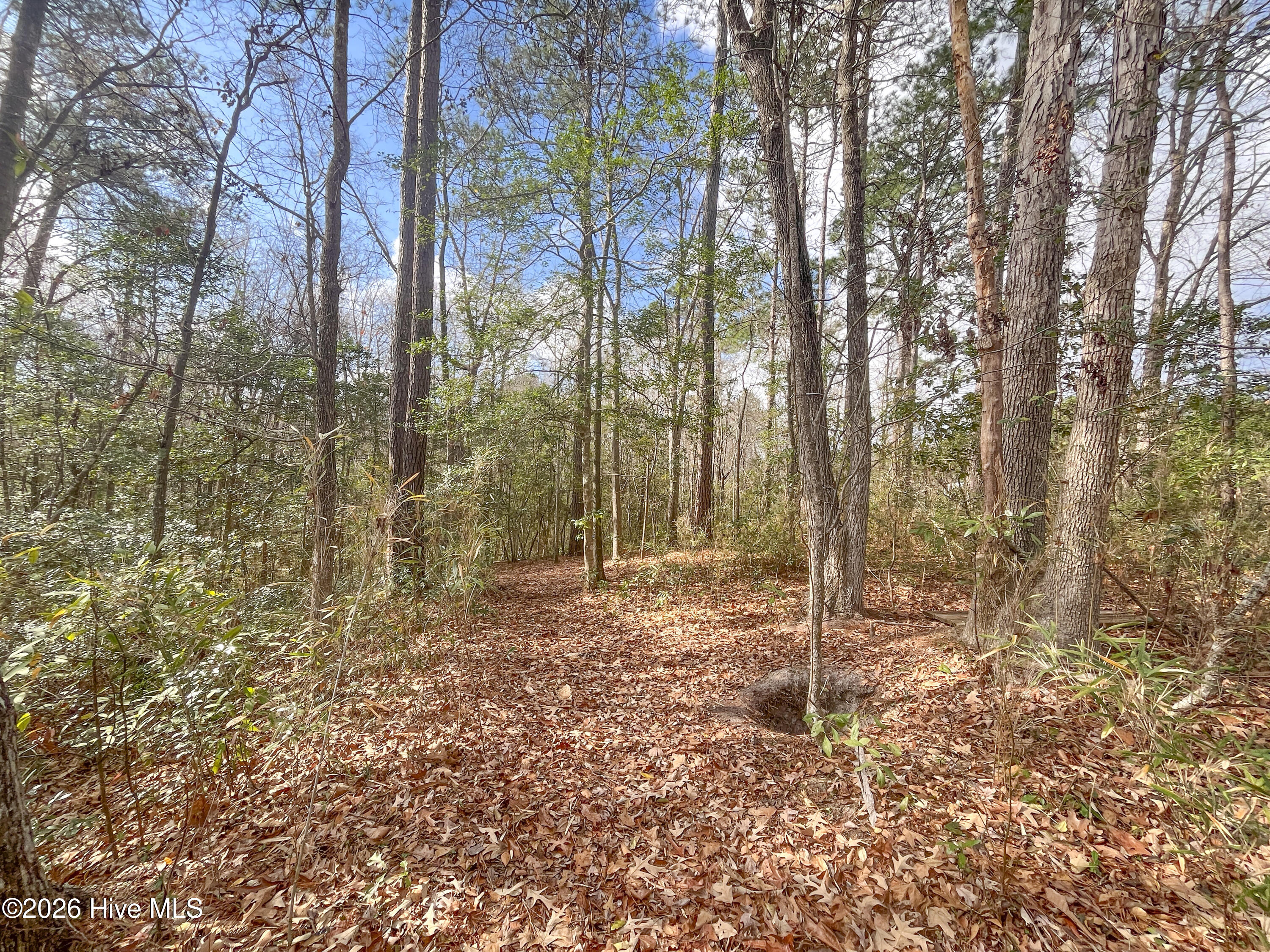 21900 Us Highway 17 Property Photo 33