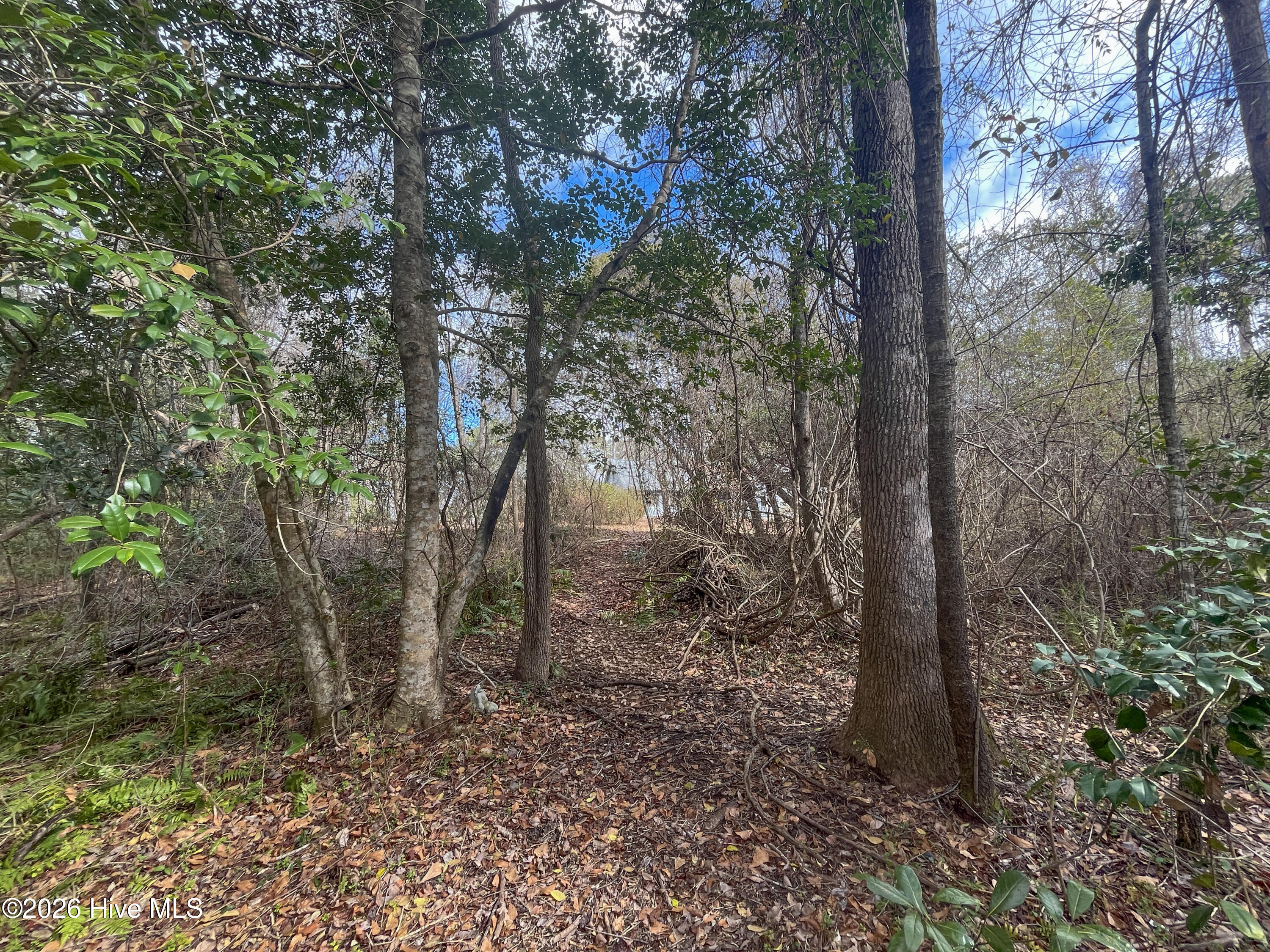 21900 Us Highway 17 Property Photo 38