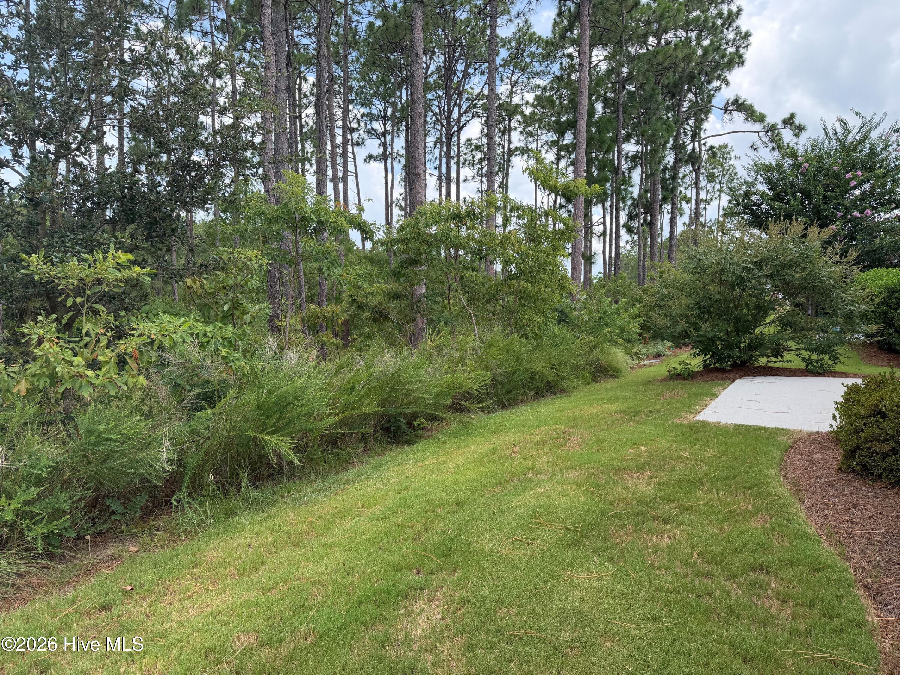 1136 Snowden Road Property Photo 26