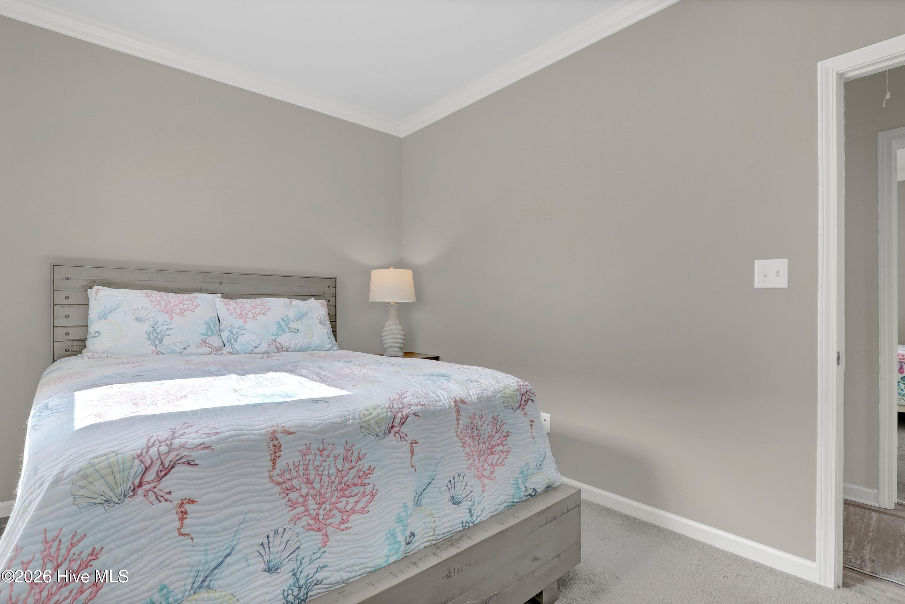 1017 1st Street Property Photo 17