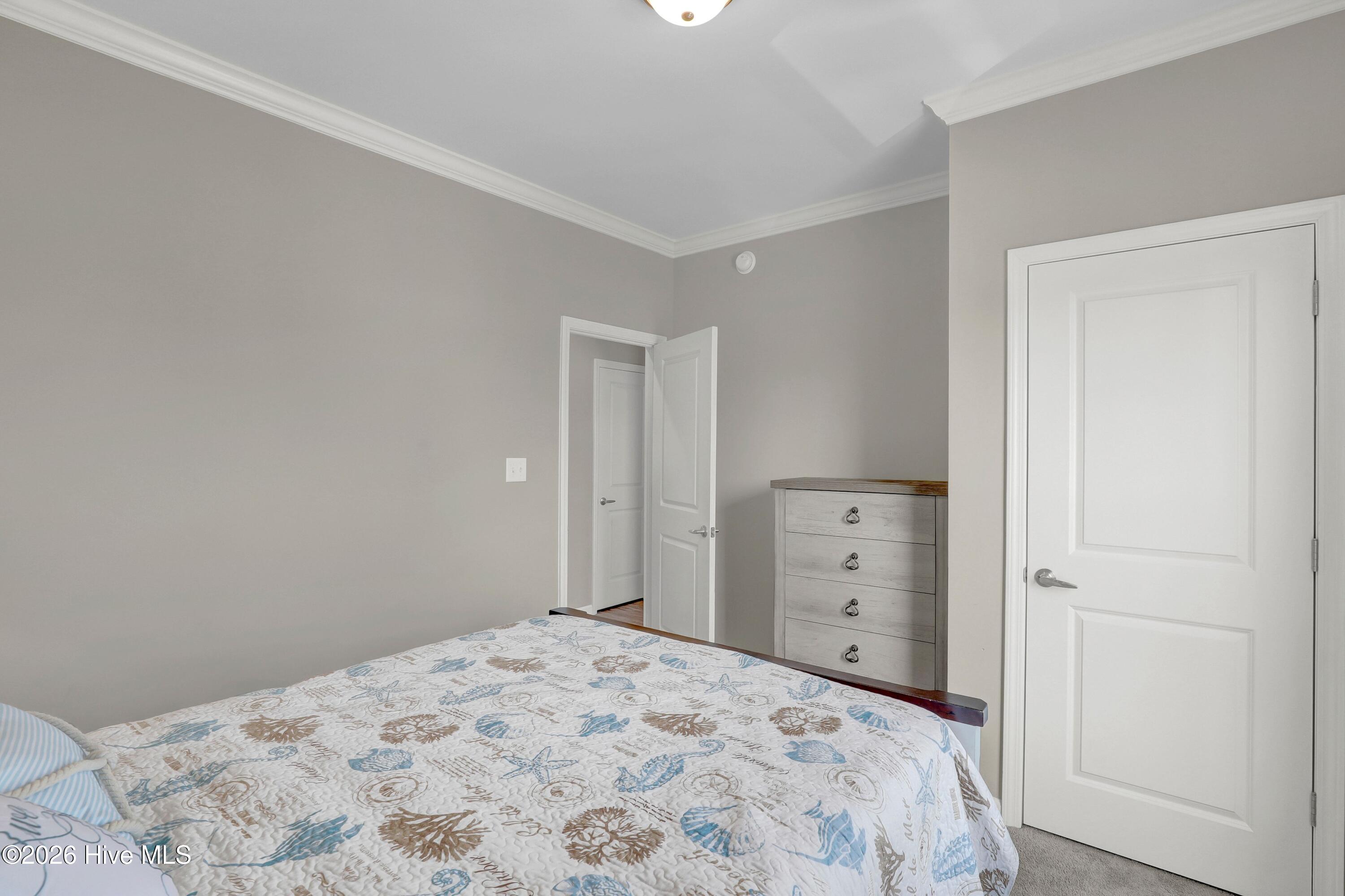 1017 1st Street Property Photo 21