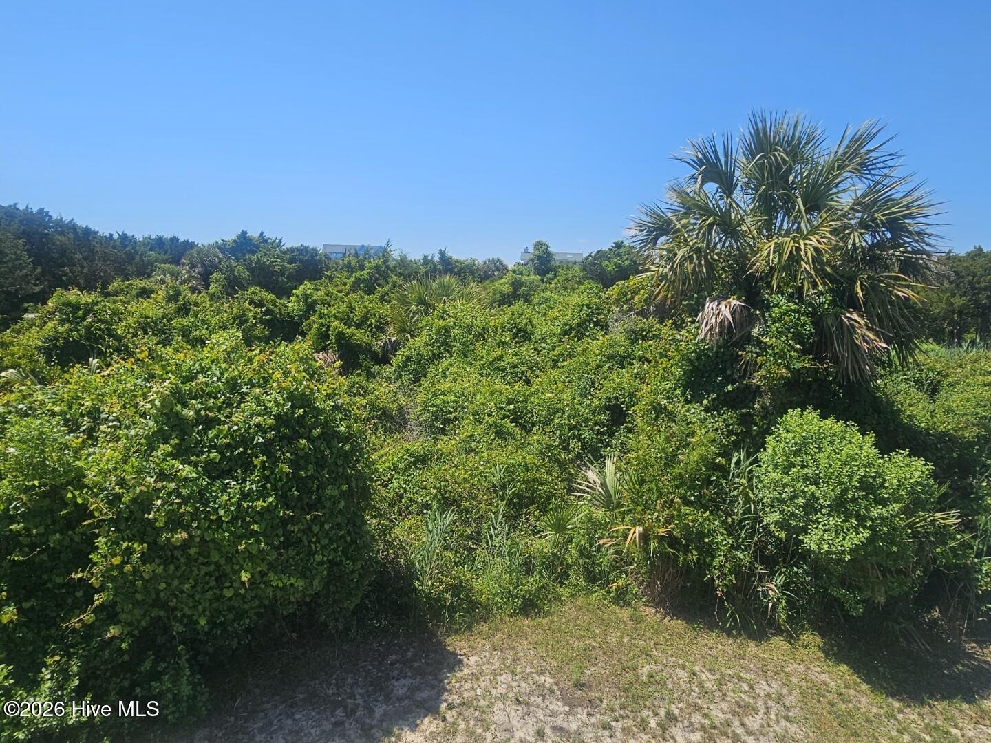 11 Horsemint Trail Property Photo 1