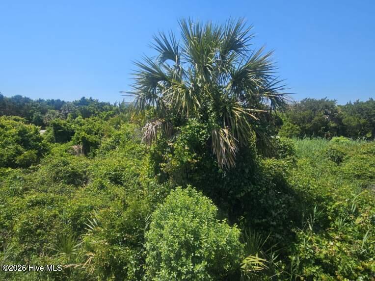 11 Horsemint Trail Property Photo 2