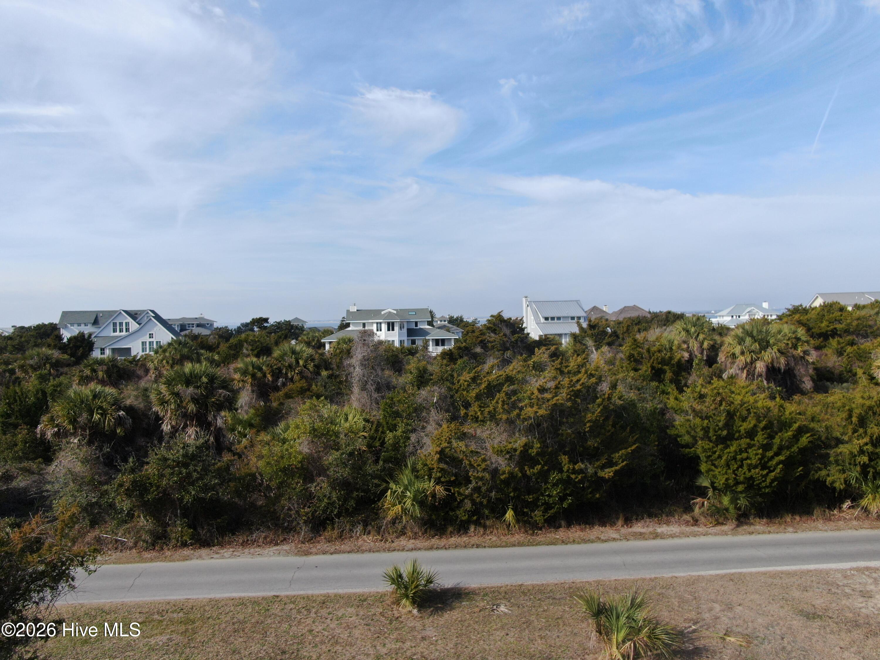 11 Horsemint Trail Property Photo 8