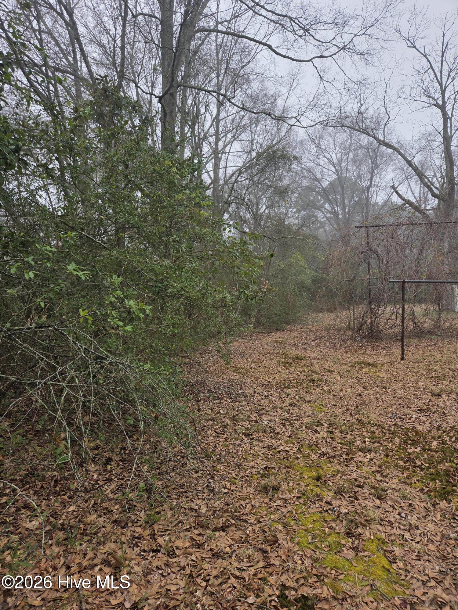 Tbd S Caroline Property Photo 2