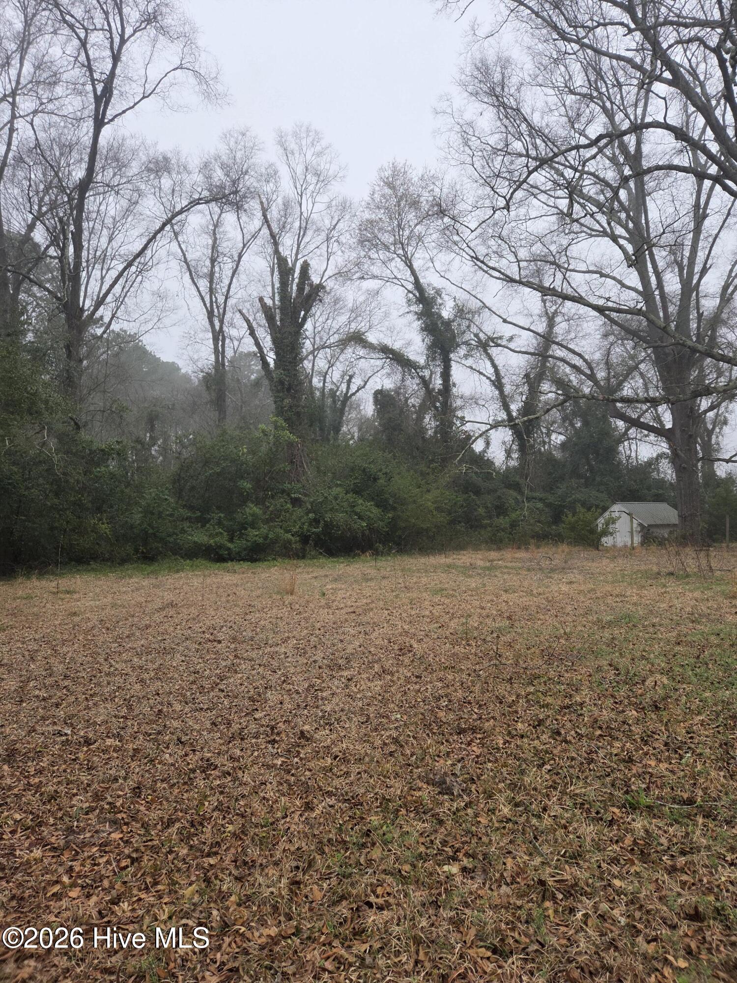 Tbd S Caroline Property Photo 3