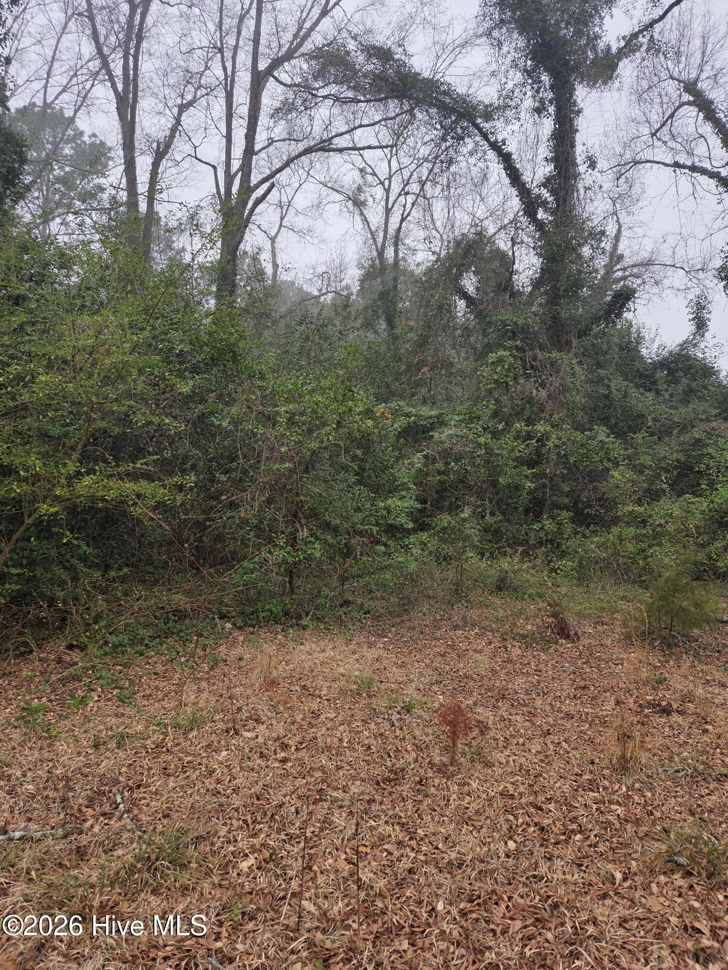 Tbd S Caroline Property Photo 4