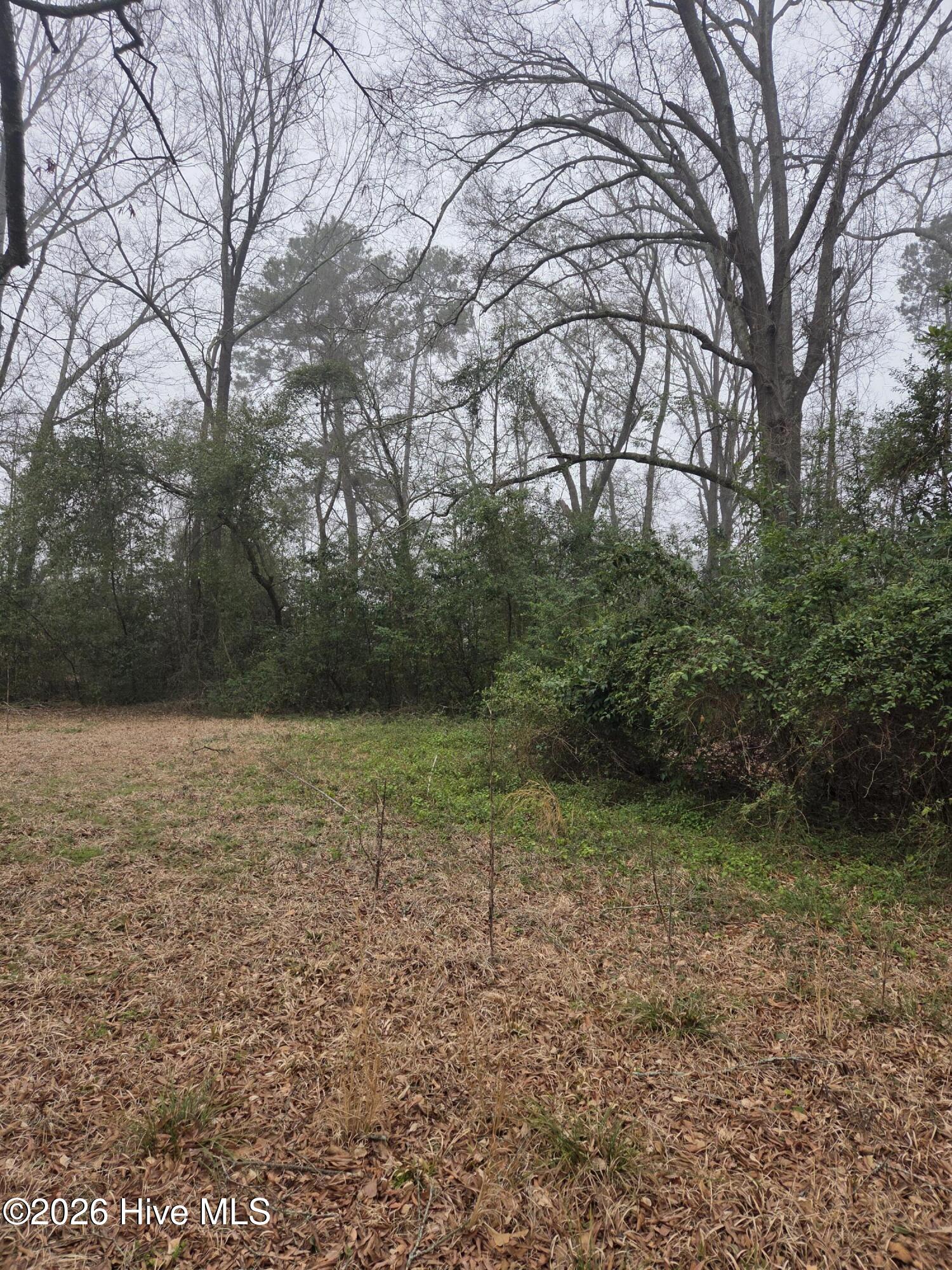 Tbd S Caroline Property Photo 5
