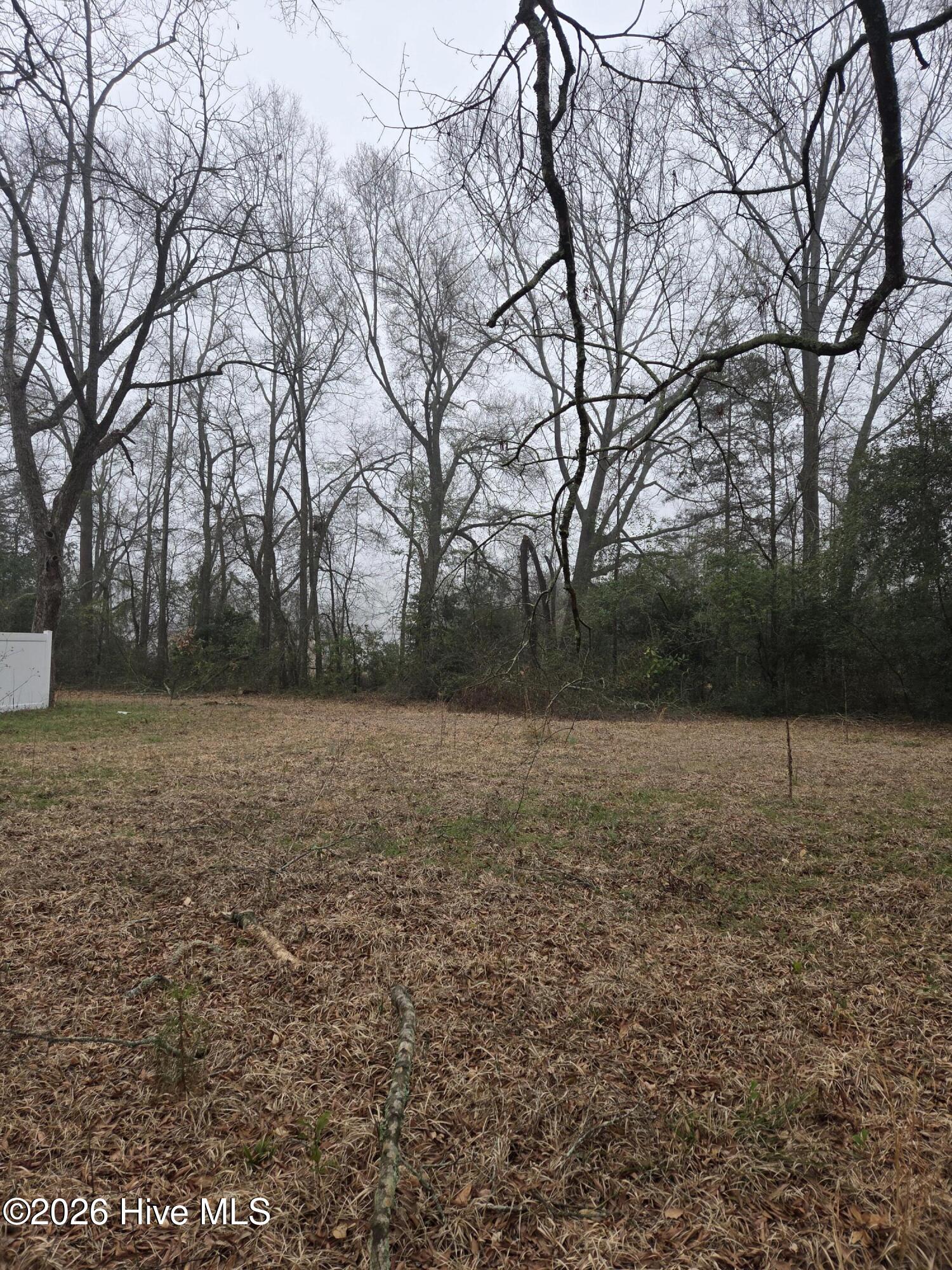 Tbd S Caroline Property Photo 6