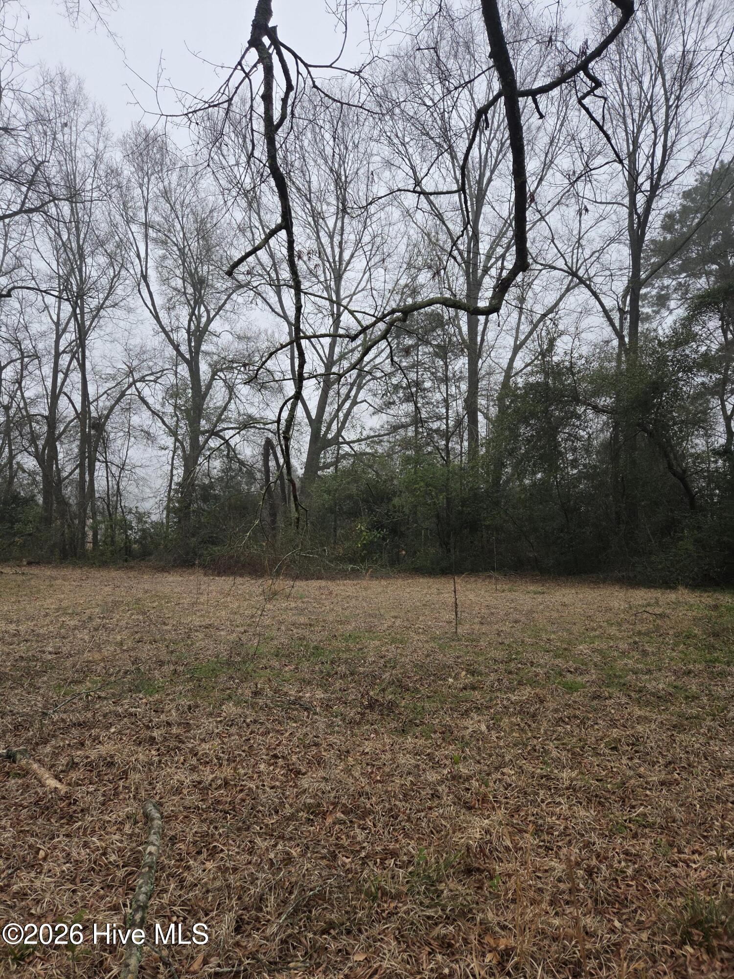 Tbd S Caroline Property Photo 7