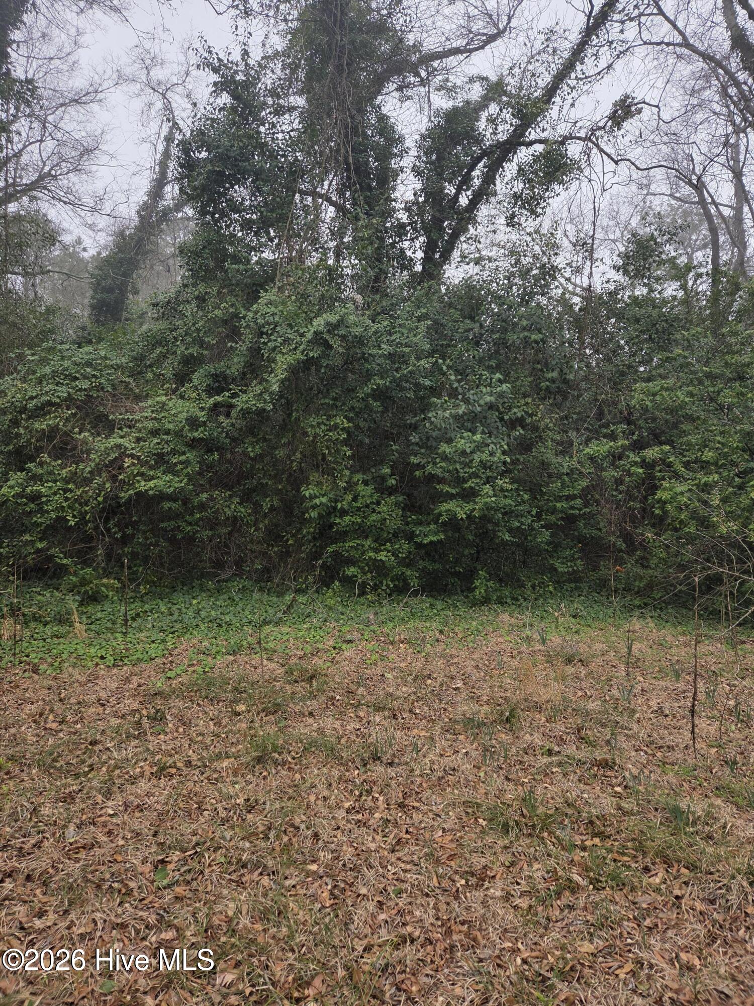 Tbd S Caroline Property Photo 8