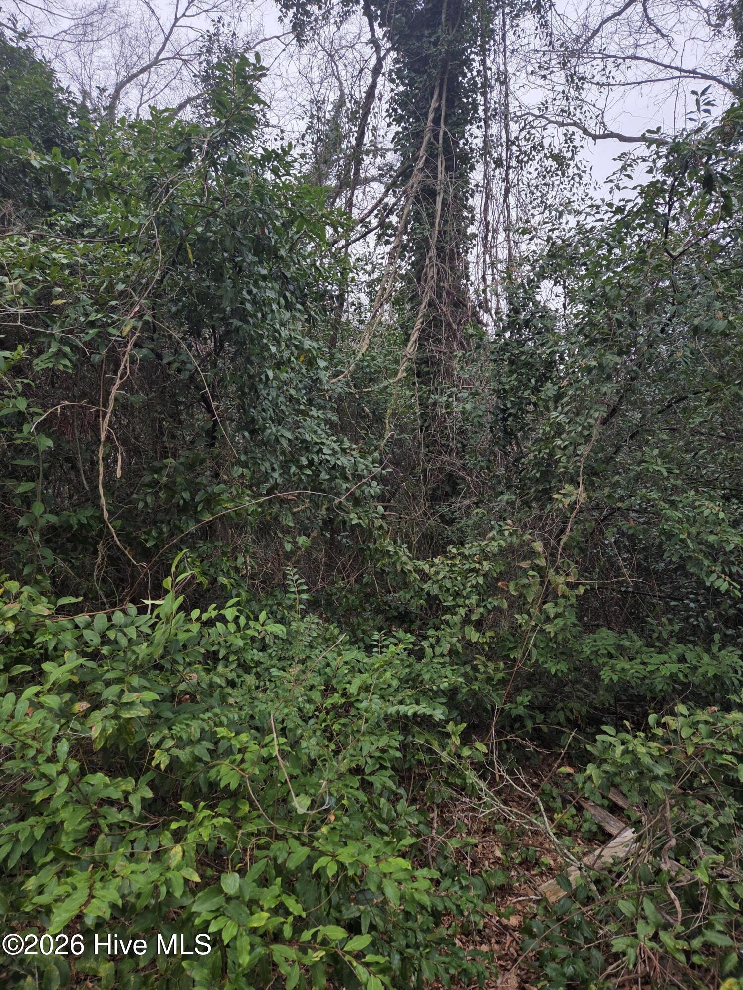 Tbd S Caroline Property Photo 9