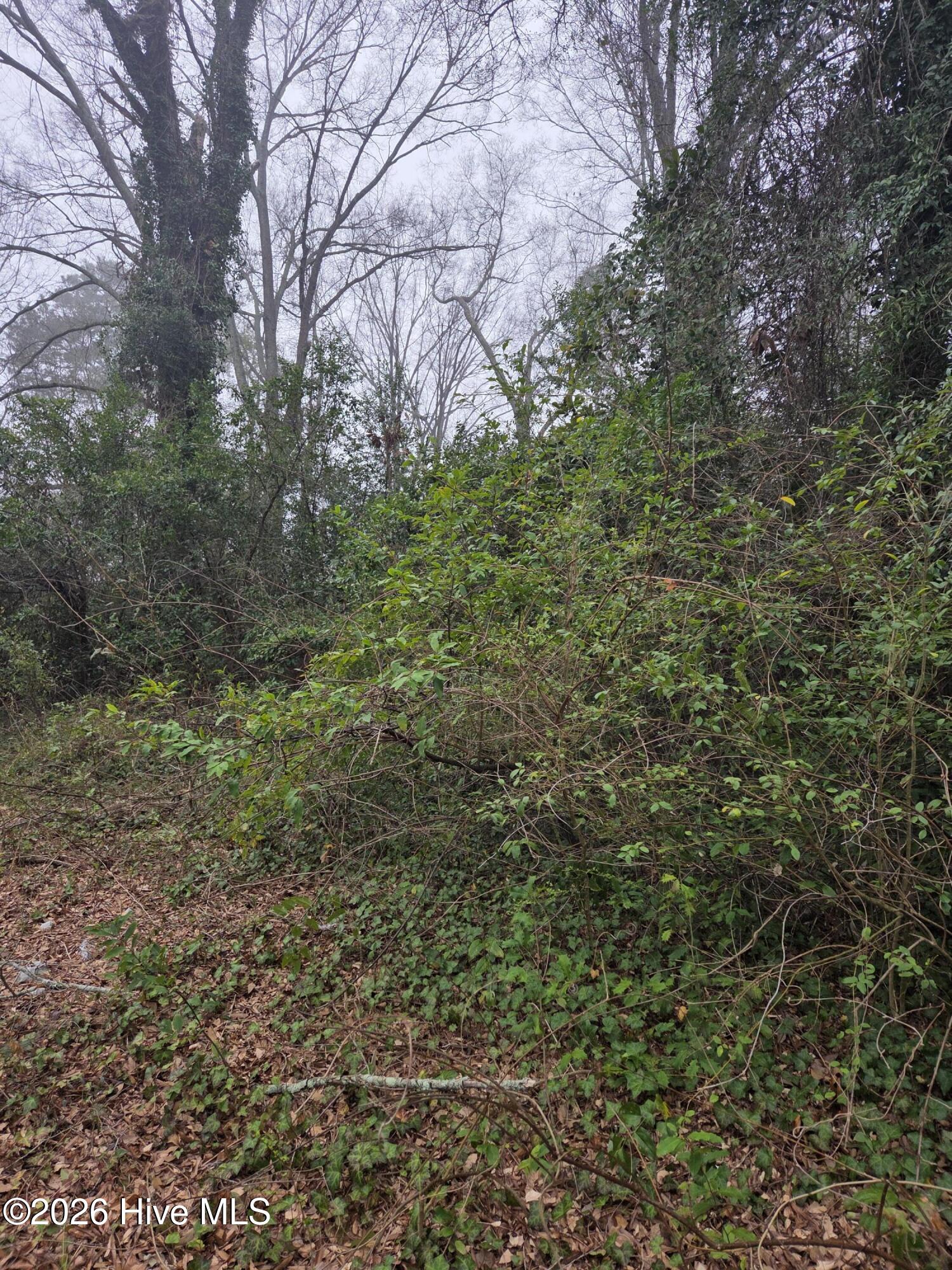 Tbd S Caroline Property Photo 10
