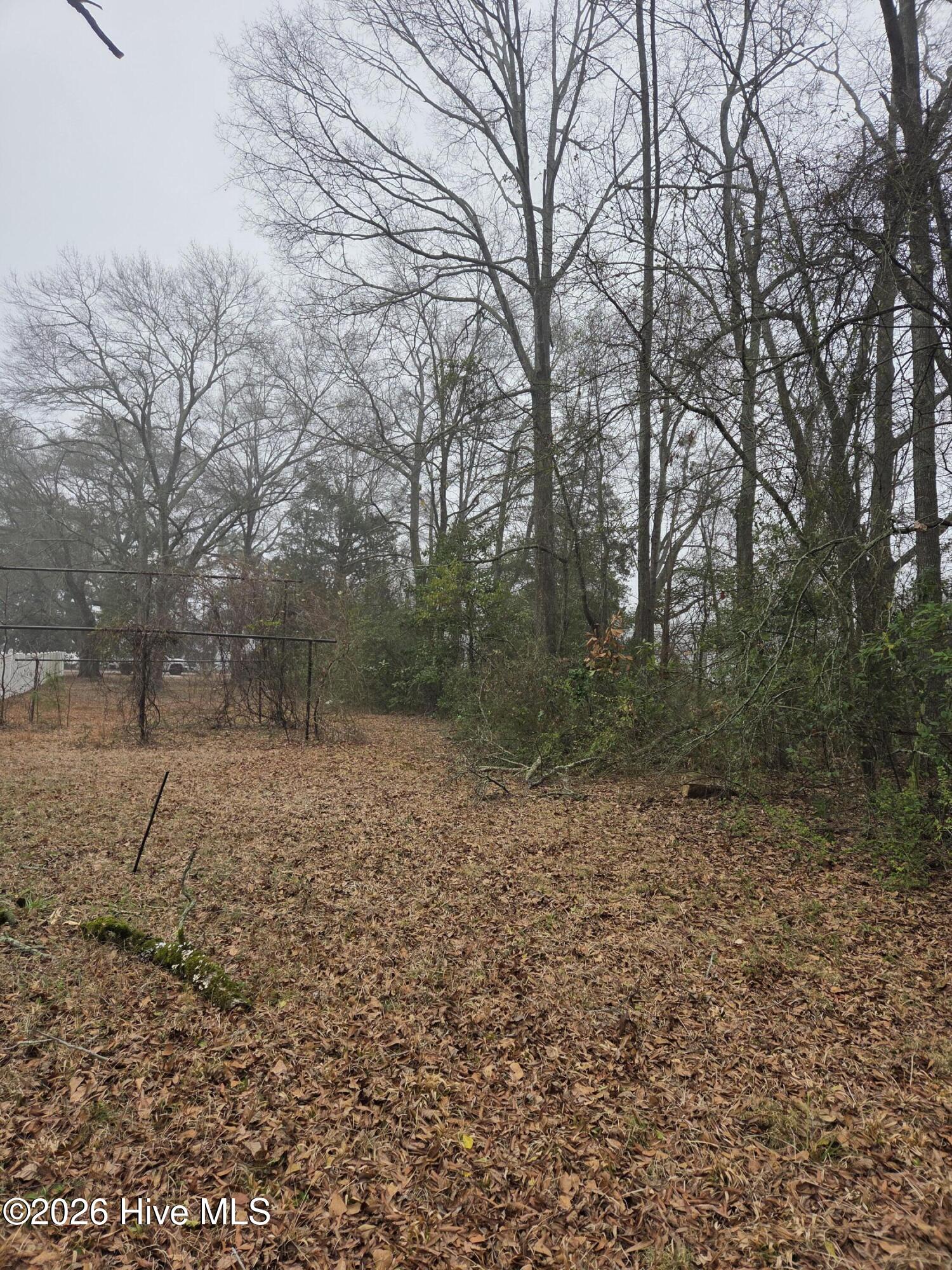 Tbd S Caroline Property Photo 11