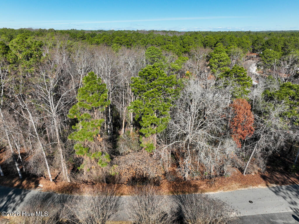 95 Bridle Path Circle Property Photo 6