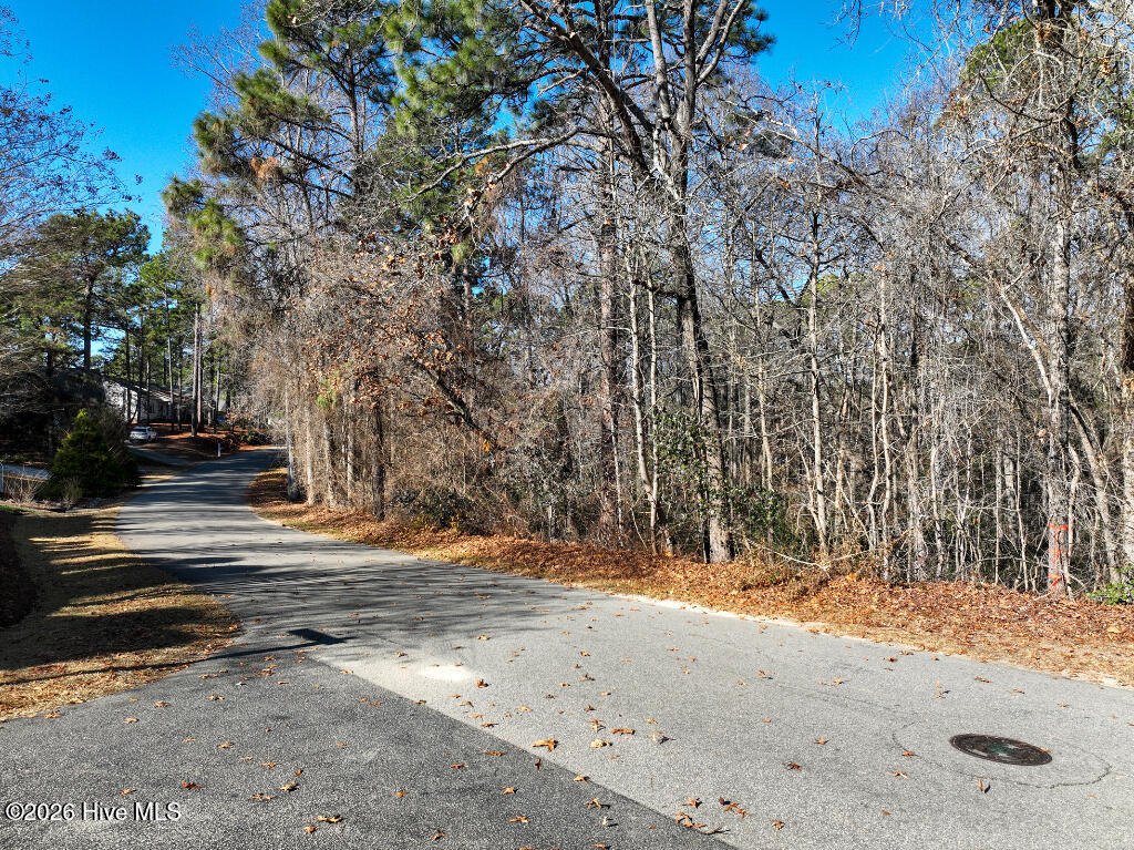 95 Bridle Path Circle Property Photo 12