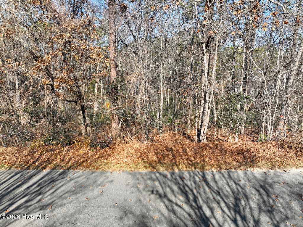 95 Bridle Path Circle Property Photo 13