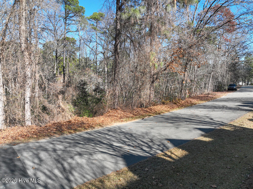 95 Bridle Path Circle Property Photo 14