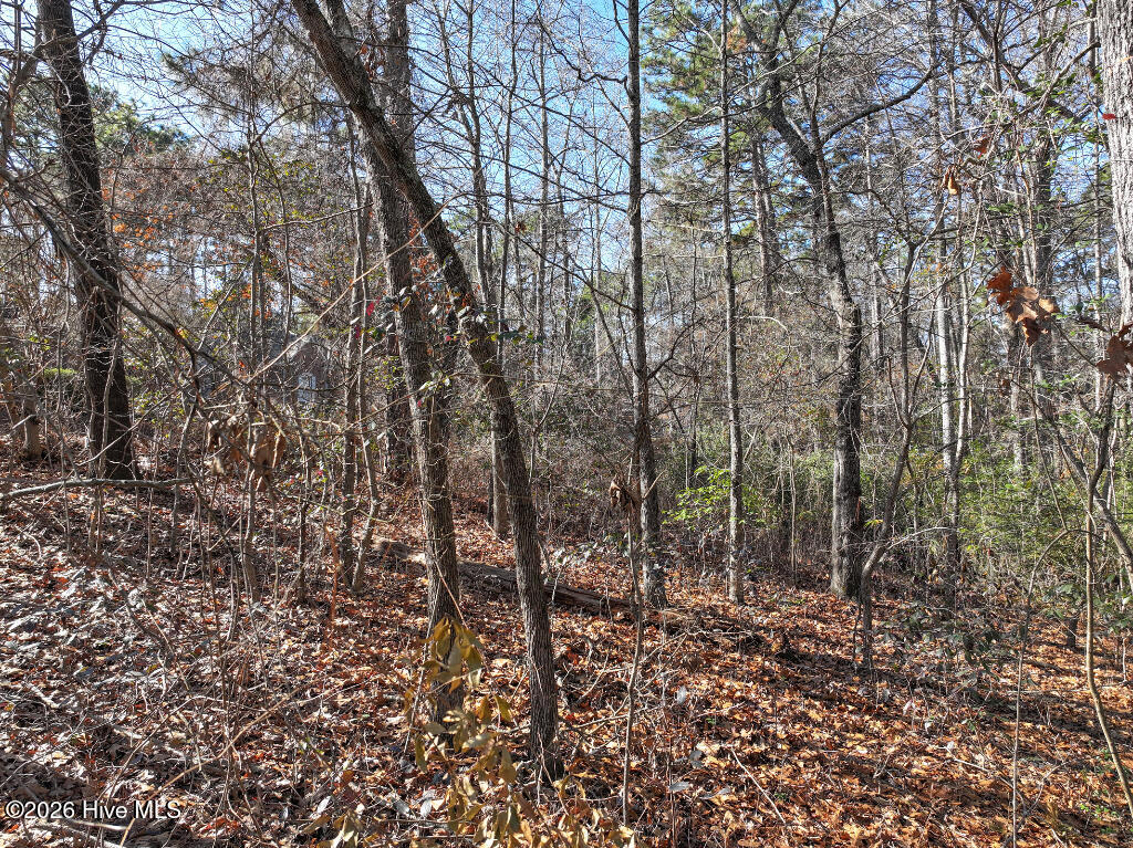 95 Bridle Path Circle Property Photo 15