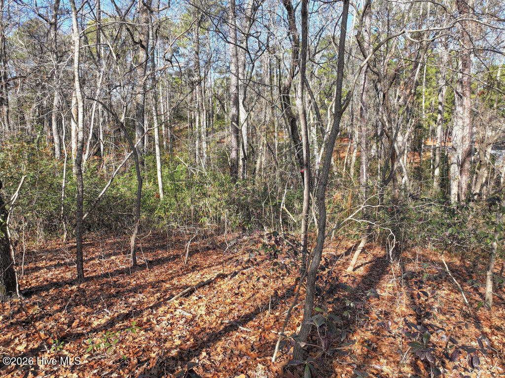 95 Bridle Path Circle Property Photo 16