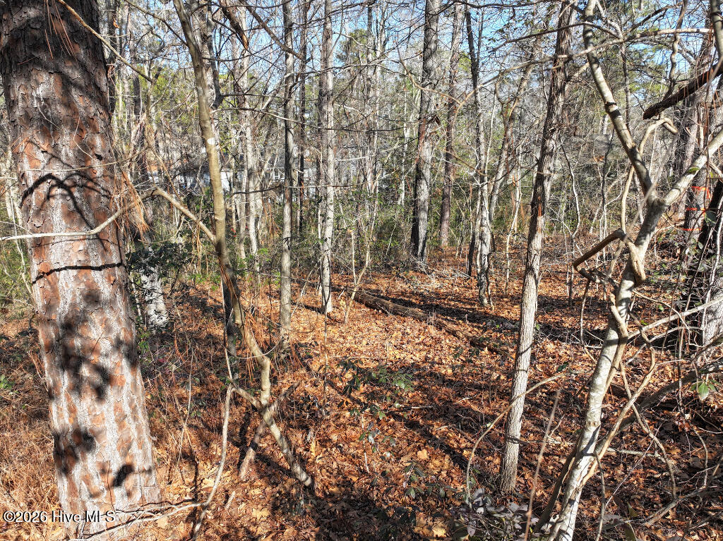 95 Bridle Path Circle Property Photo 18