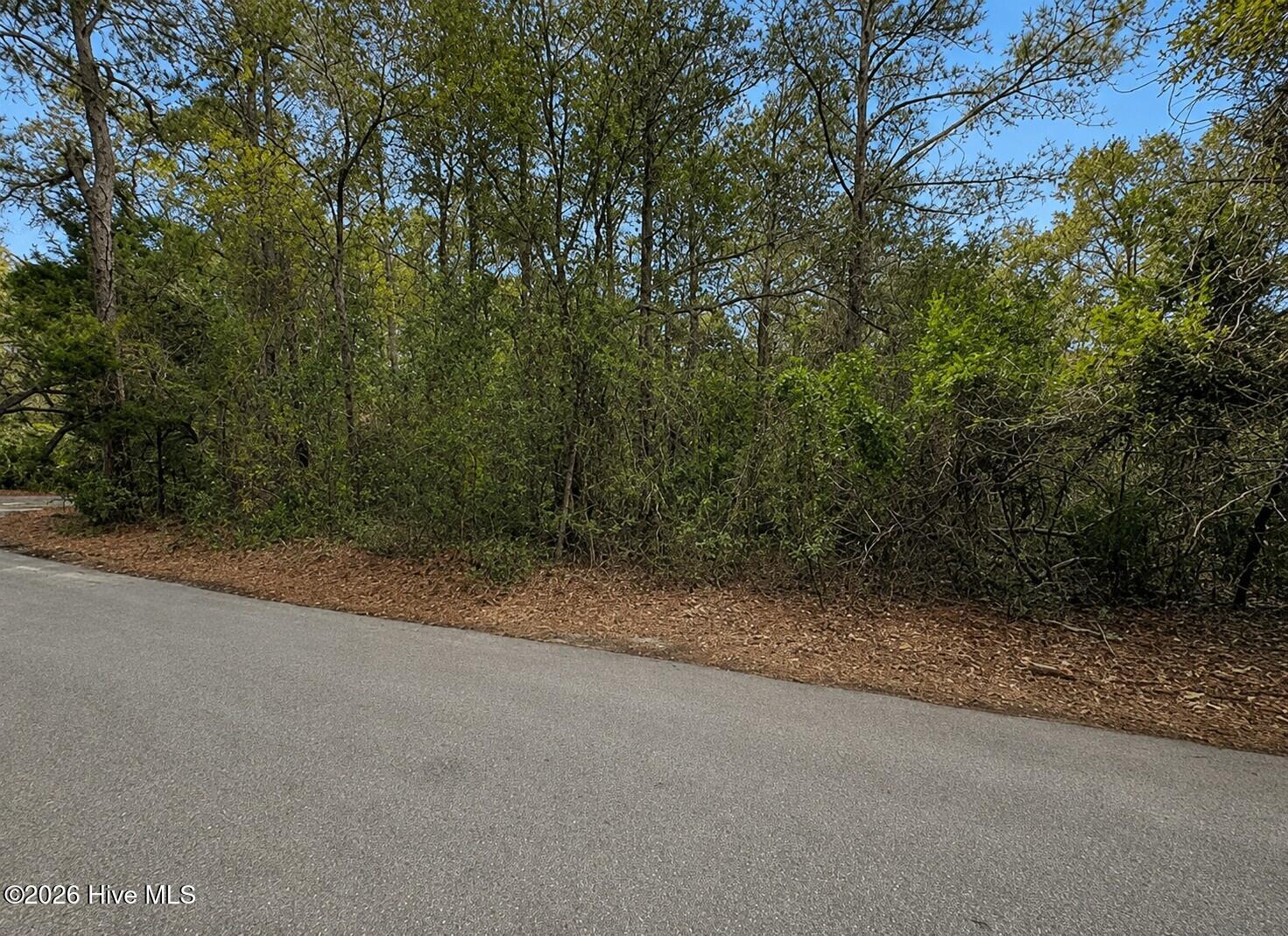 4 Dowitcher Trail Property Photo 3