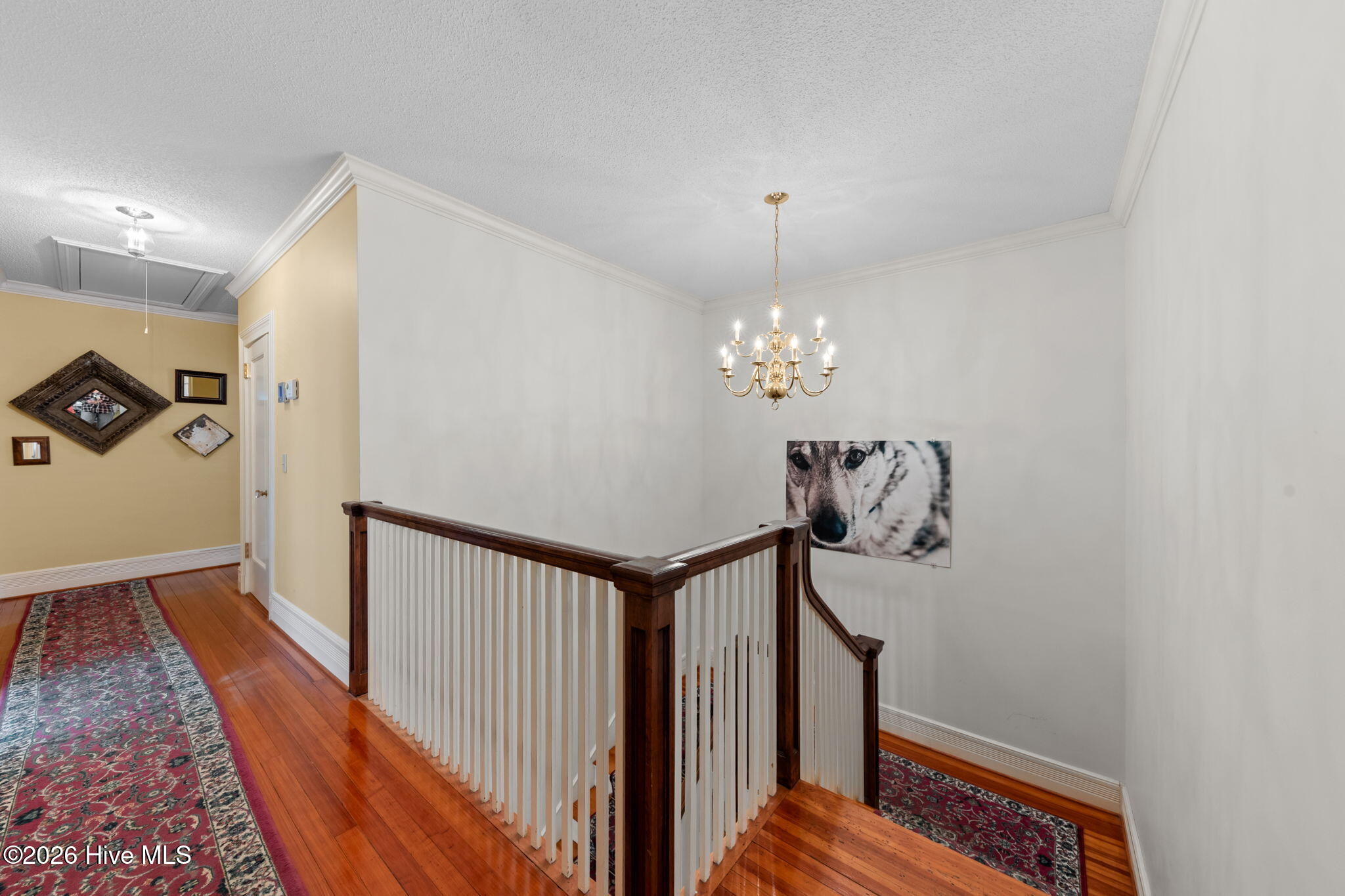 55 Linden Road Property Photo 25
