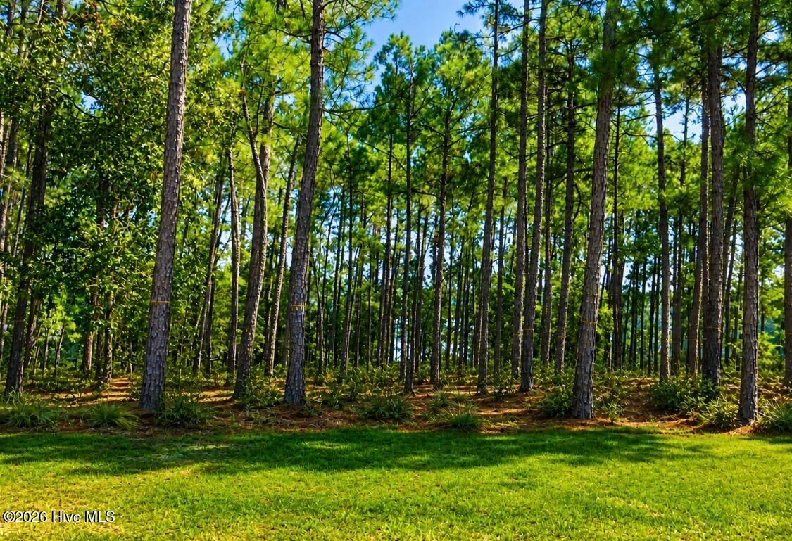 13 1002 Abington Drive Property Photo 4