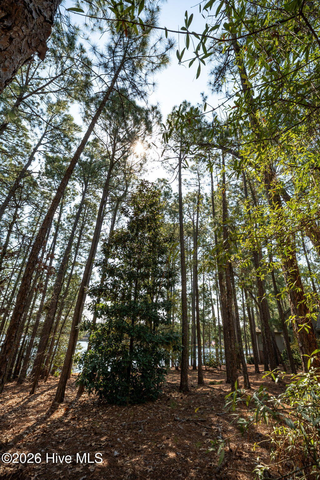 13 1002 Abington Drive Property Photo 14