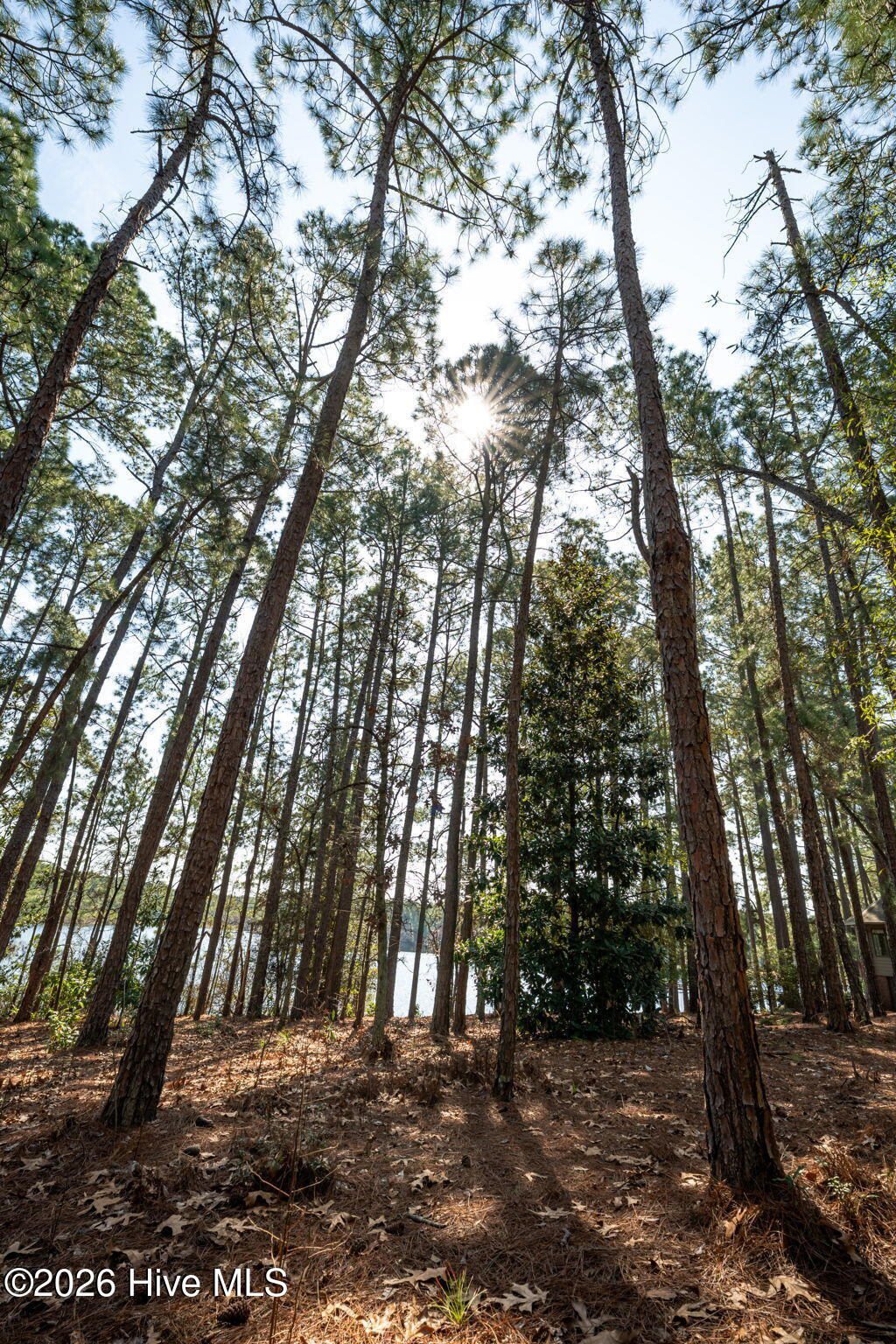 13 1002 Abington Drive Property Photo 15