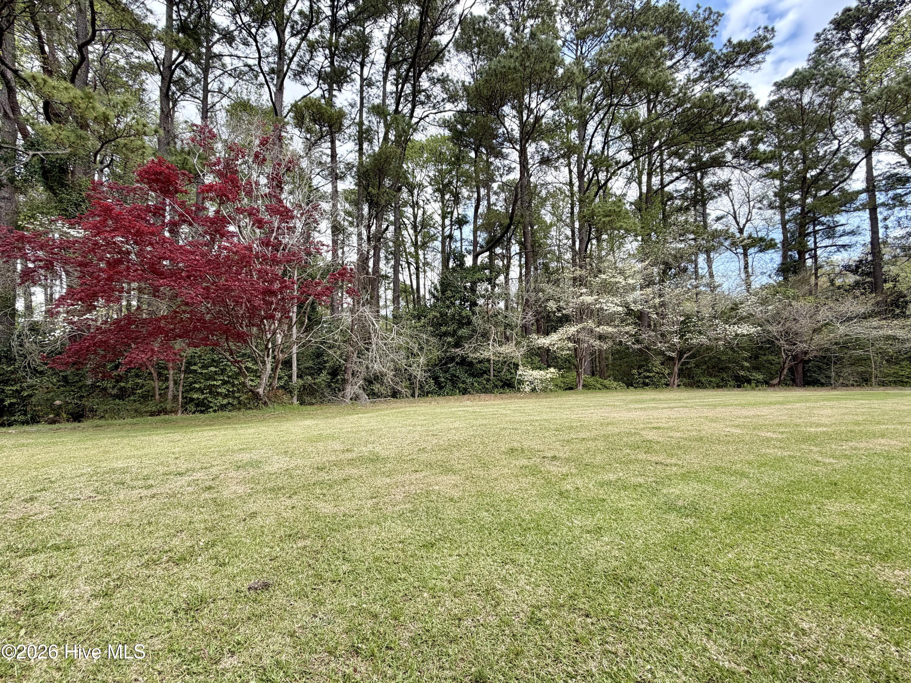 4106 Old Cherry Point Road Property Photo 6