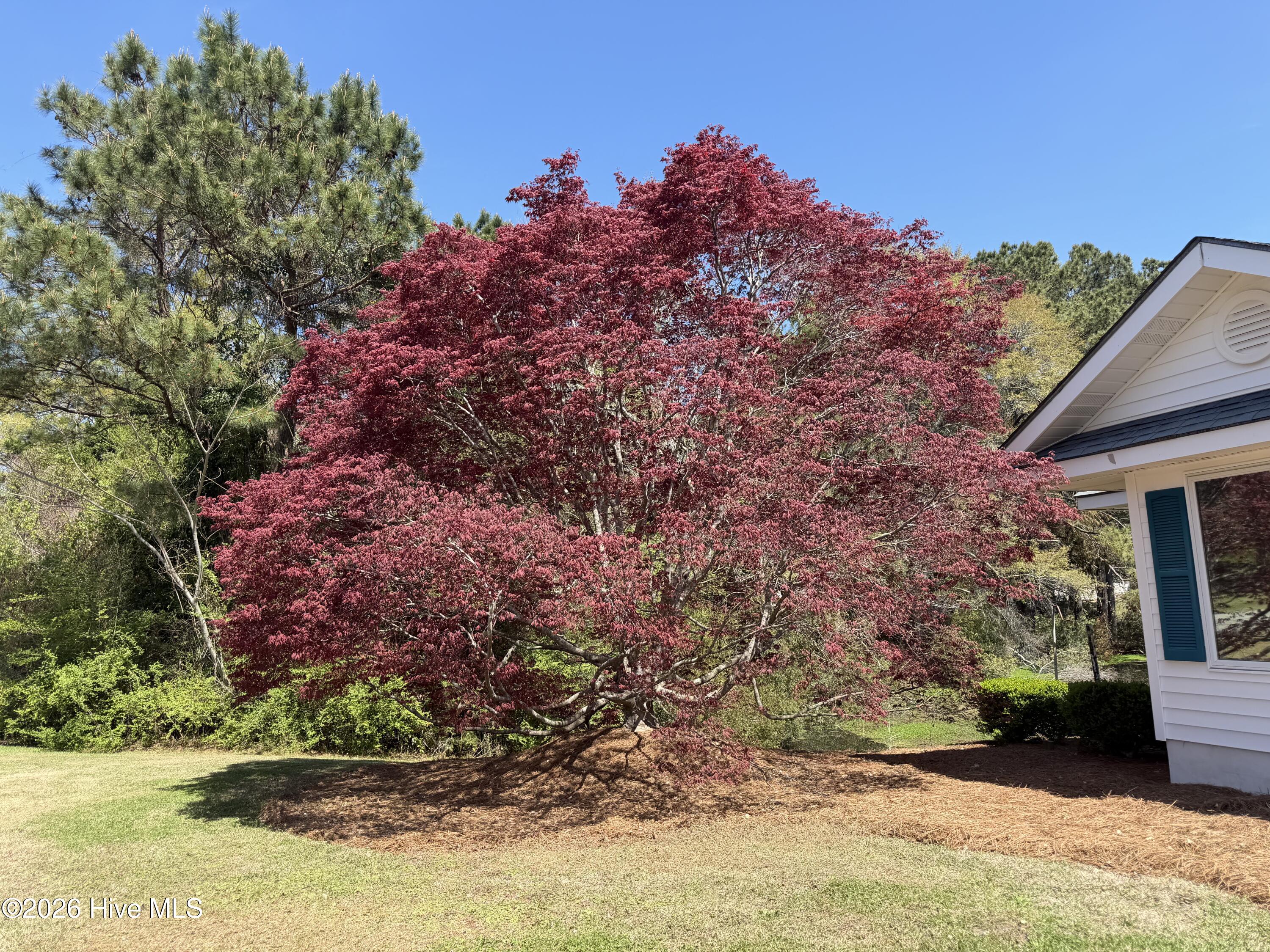4106 Old Cherry Point Road Property Photo 25