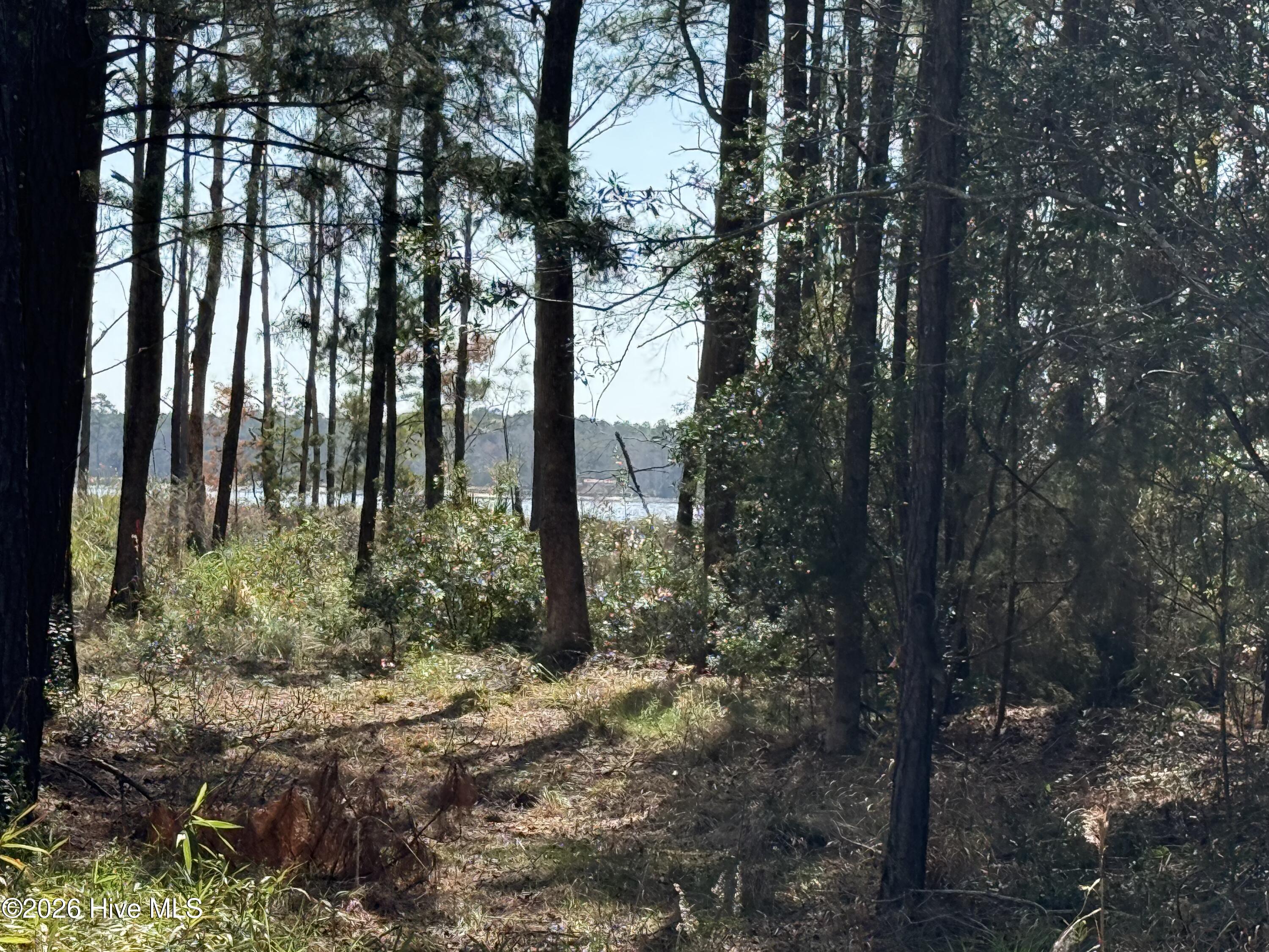 122 16 Wackena Way Property Photo 6